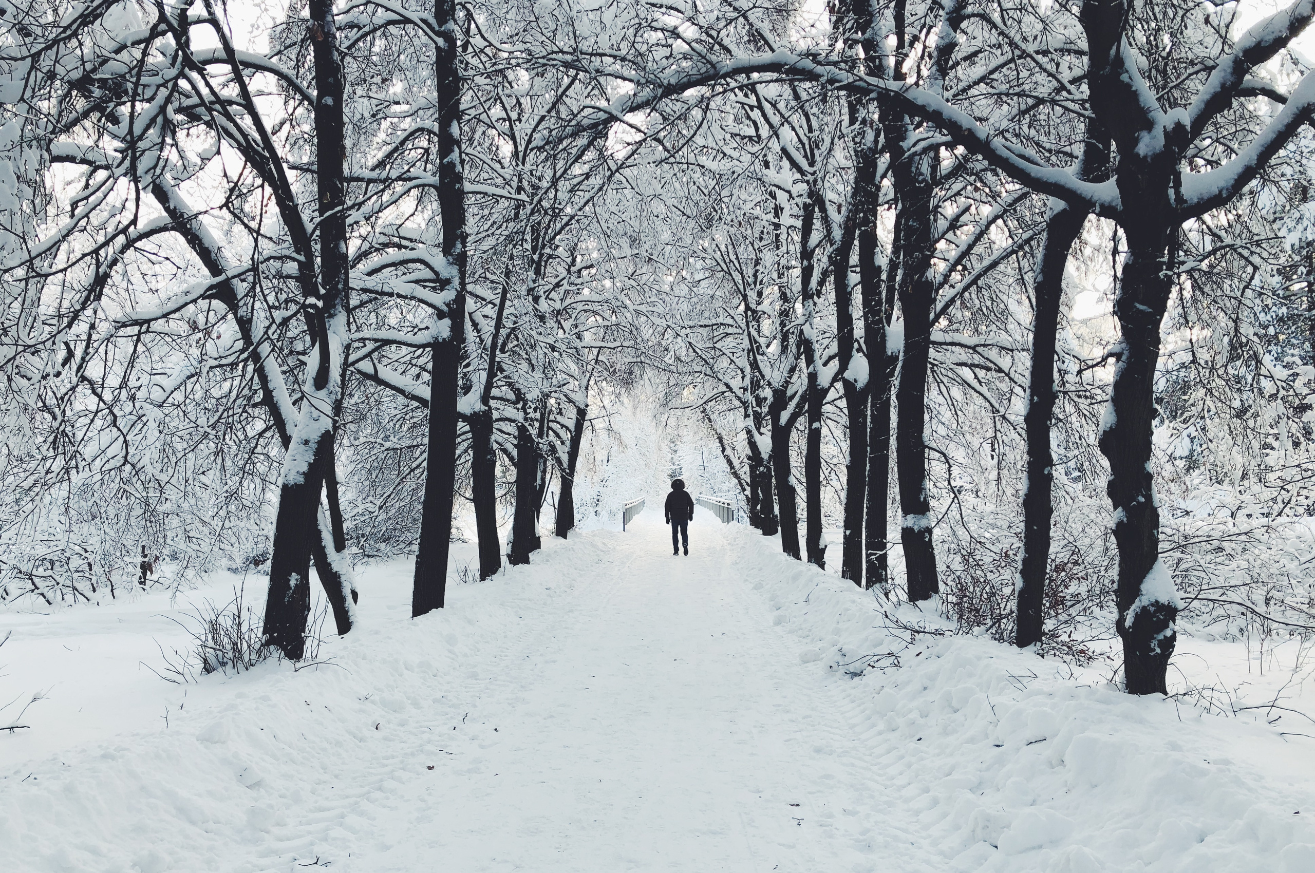Postcards. Мария Сосновская, фотограф, Москва. Семейные, личные, контент съемки