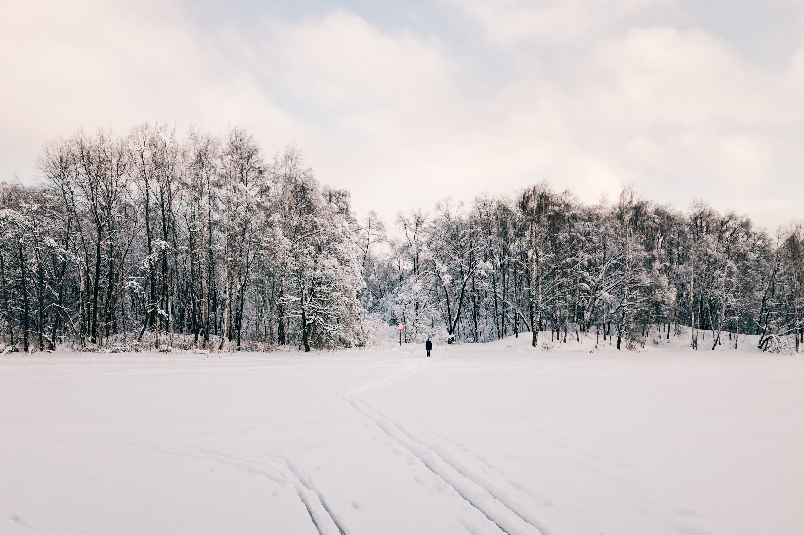 Postcards. Мария Сосновская, фотограф, Москва. Семейные, личные, контент съемки