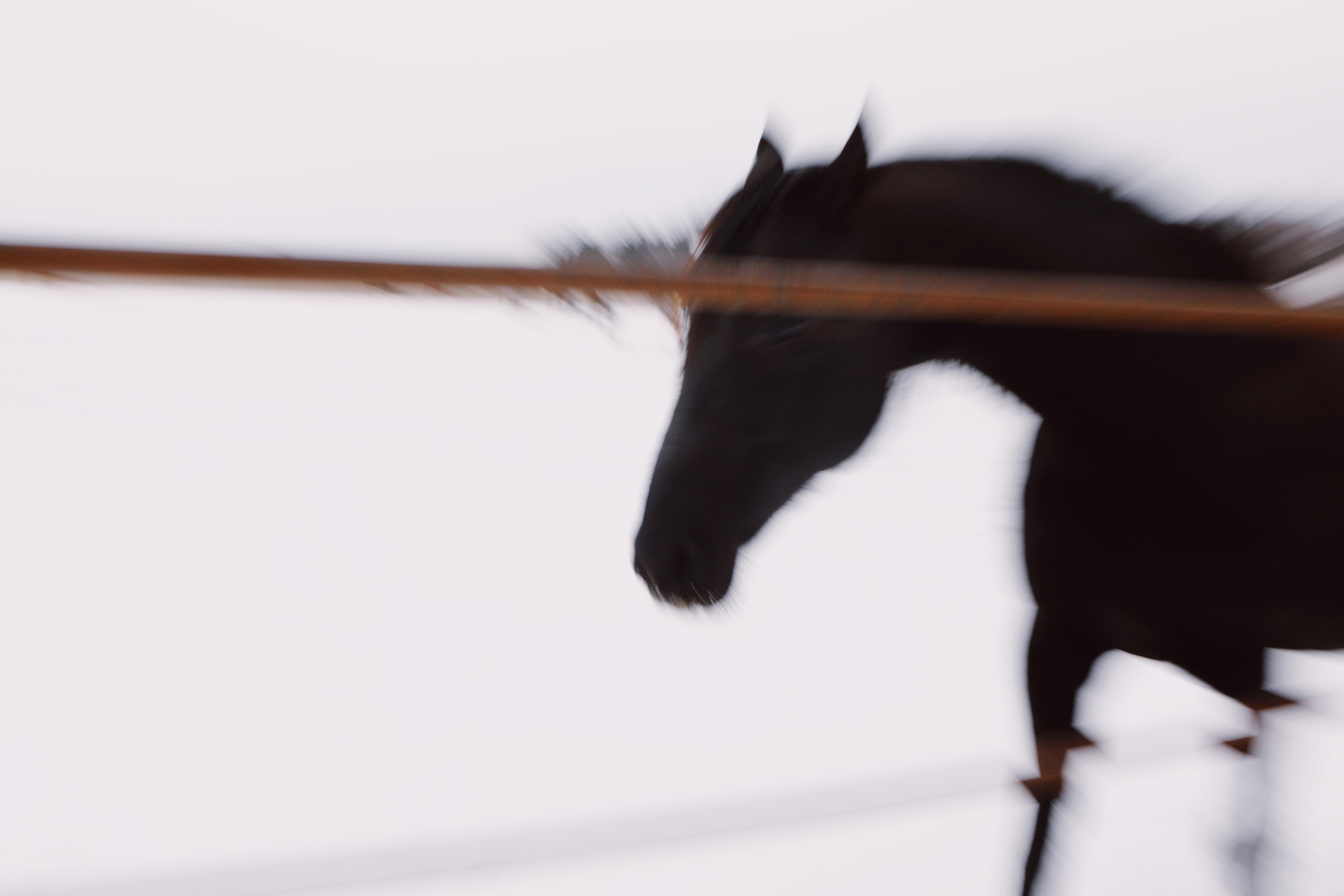 Postcards. Мария Сосновская, фотограф, Москва. Семейные, личные, контент съемки