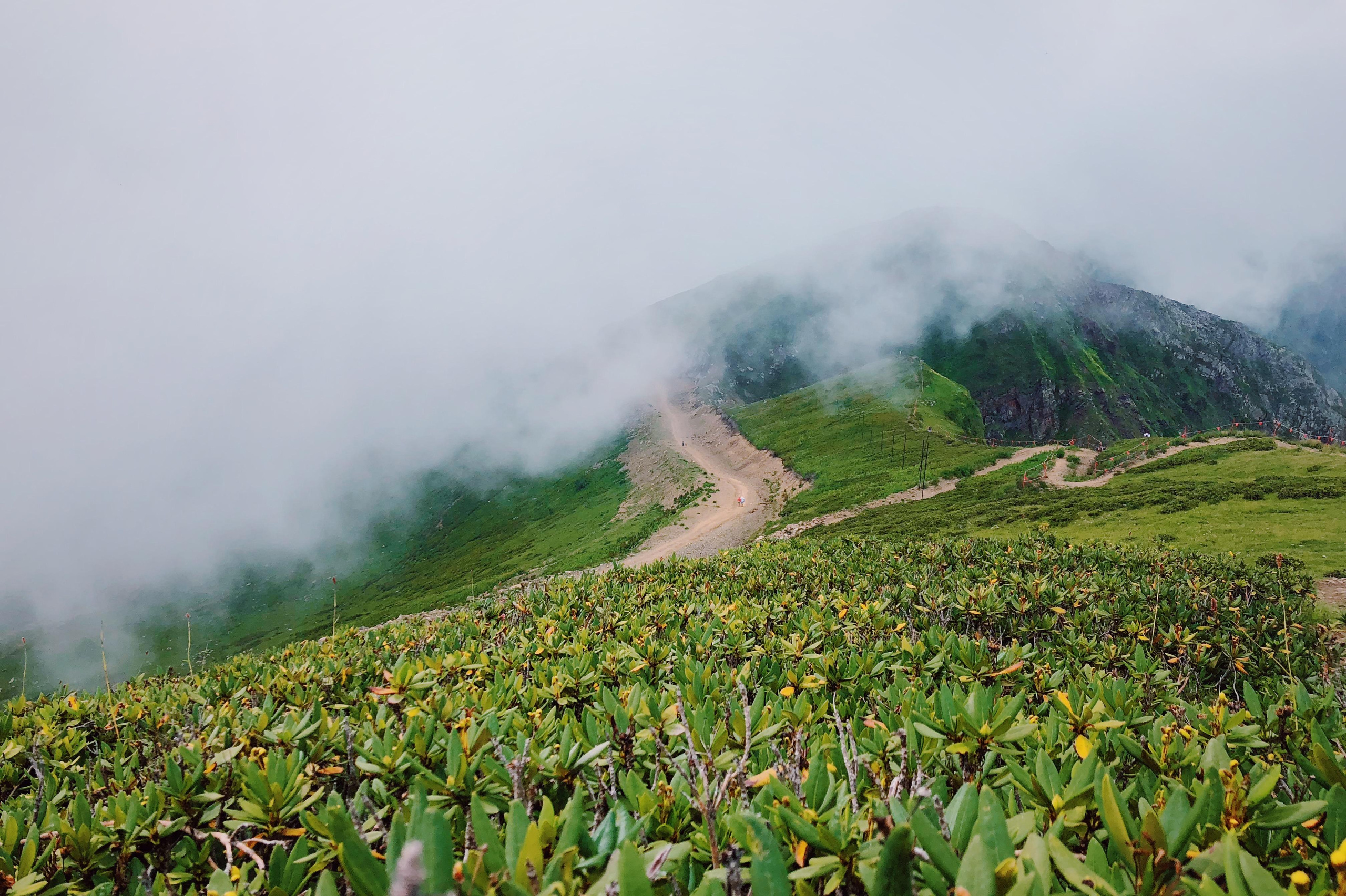 Postcards. Мария Сосновская, фотограф, Москва. Семейные, личные, контент съемки