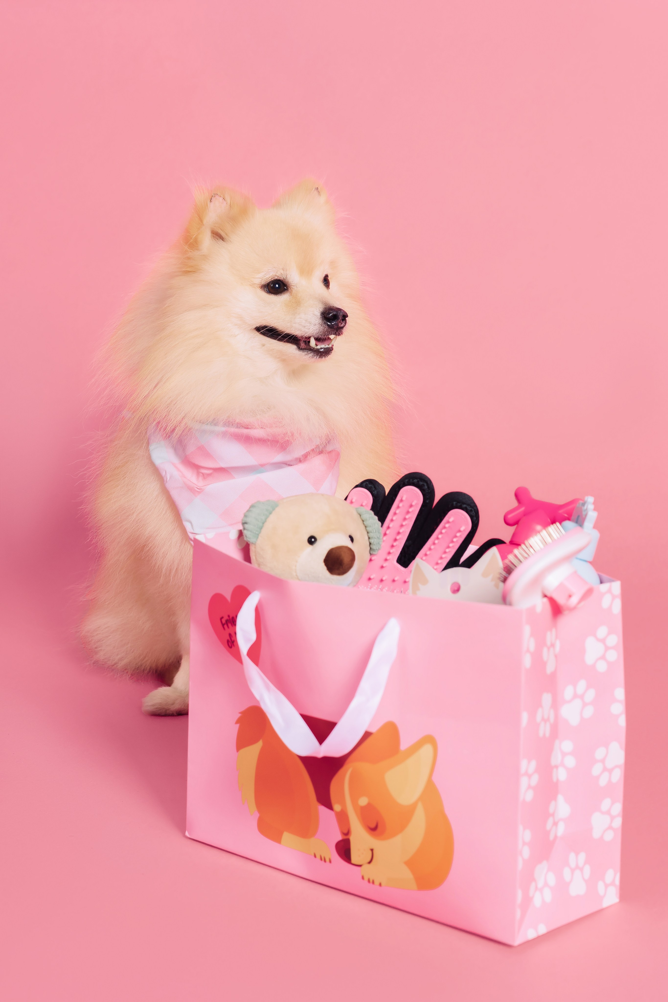 Магазин Friend of mine. Фотограф-анималист Елена Радченко, Москва