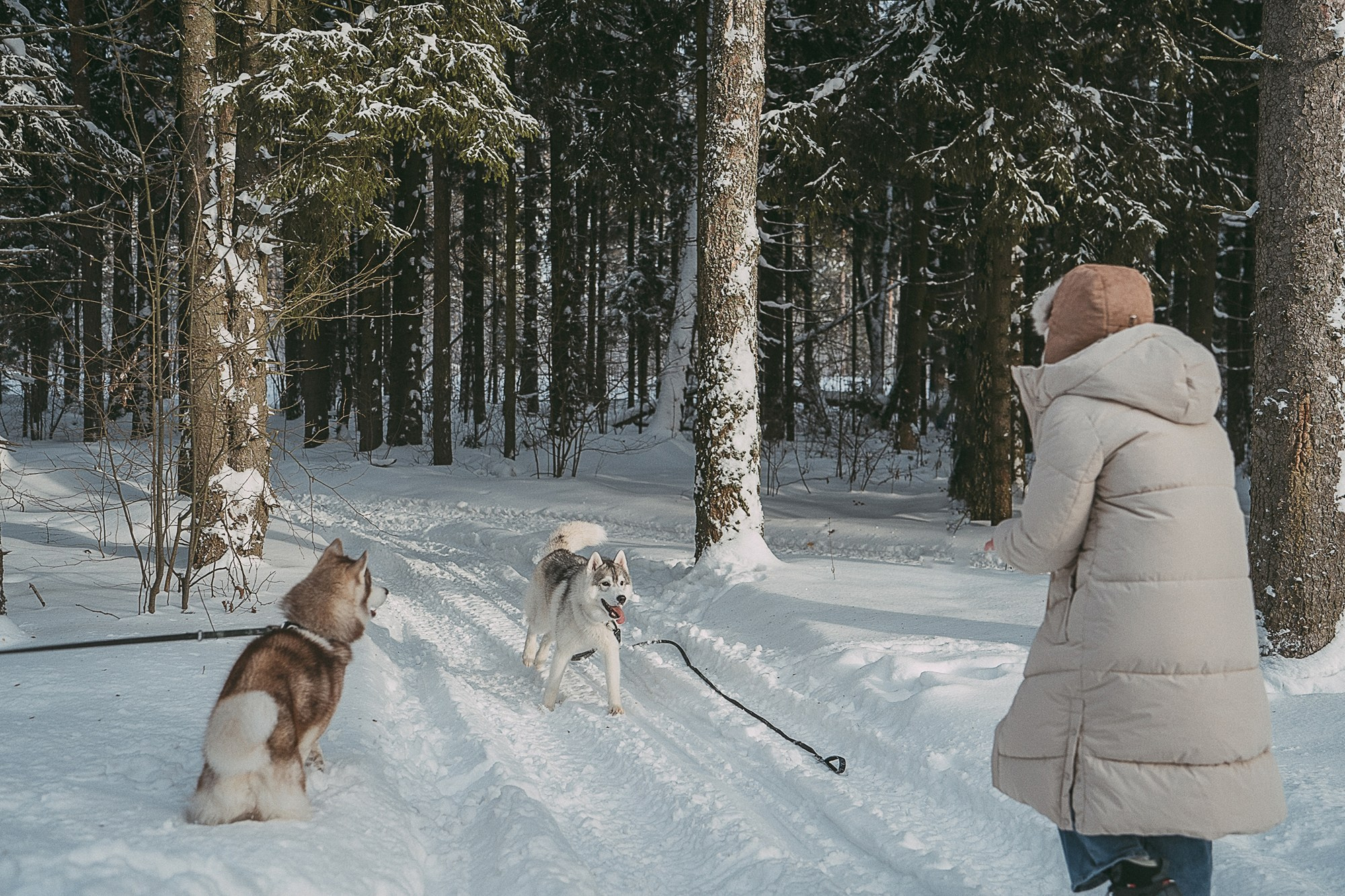 Полина, Уго и Пышка. Фотограф анималист в Москве и Санкт-Петербурге Свиридова Анна