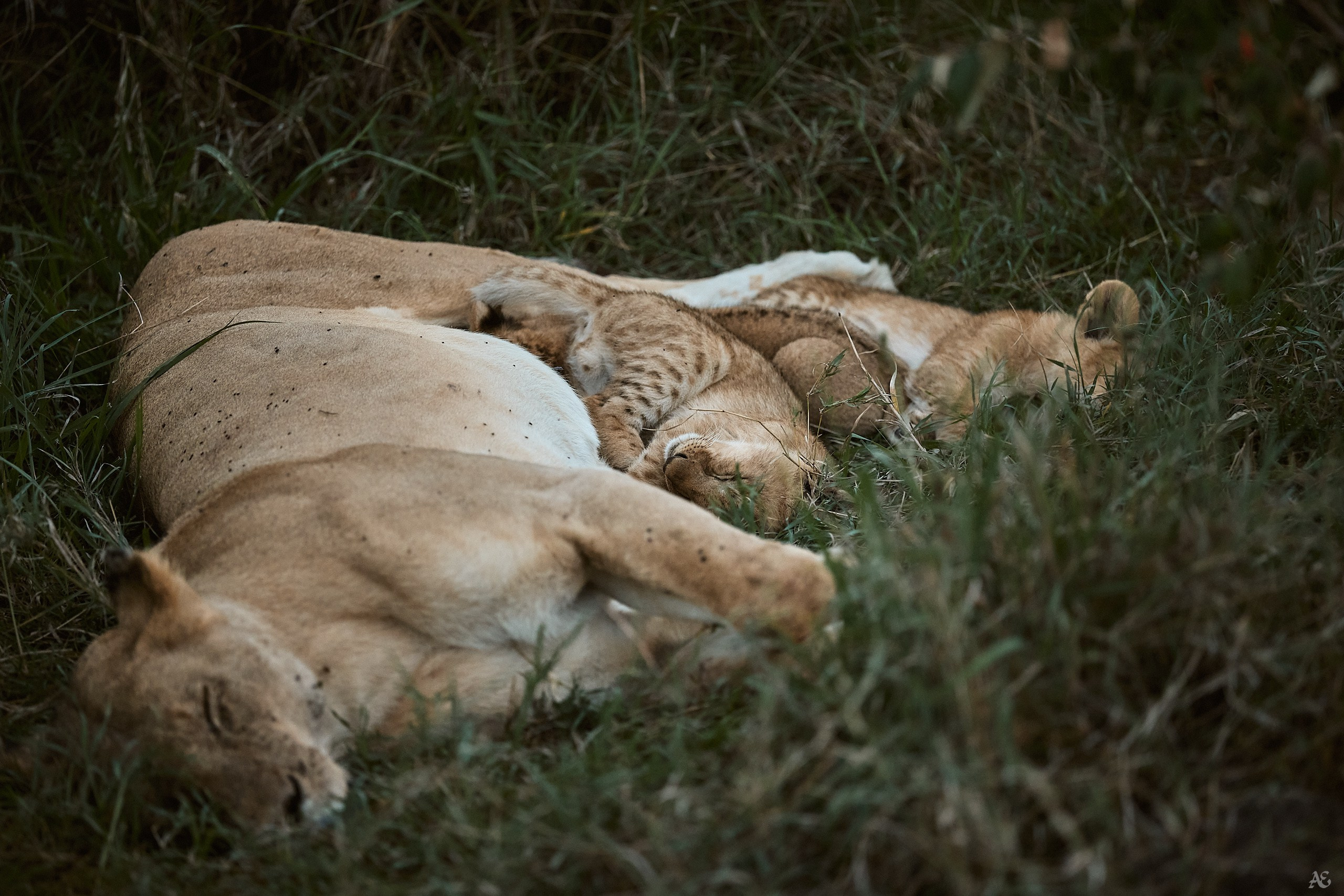 Поели - можно и поспать