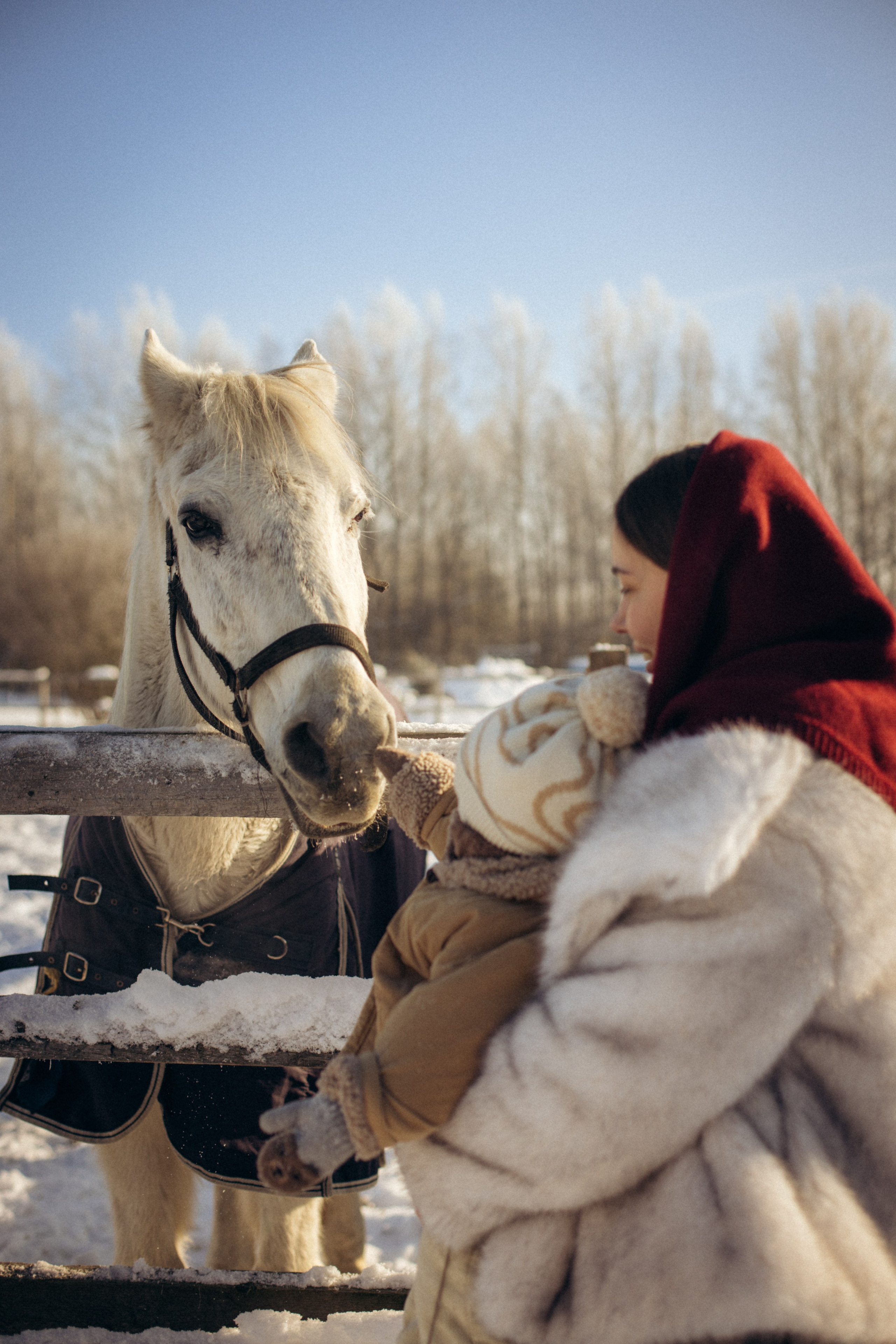 Настя с Сашей и Полей на ферме. Klerout Photographer