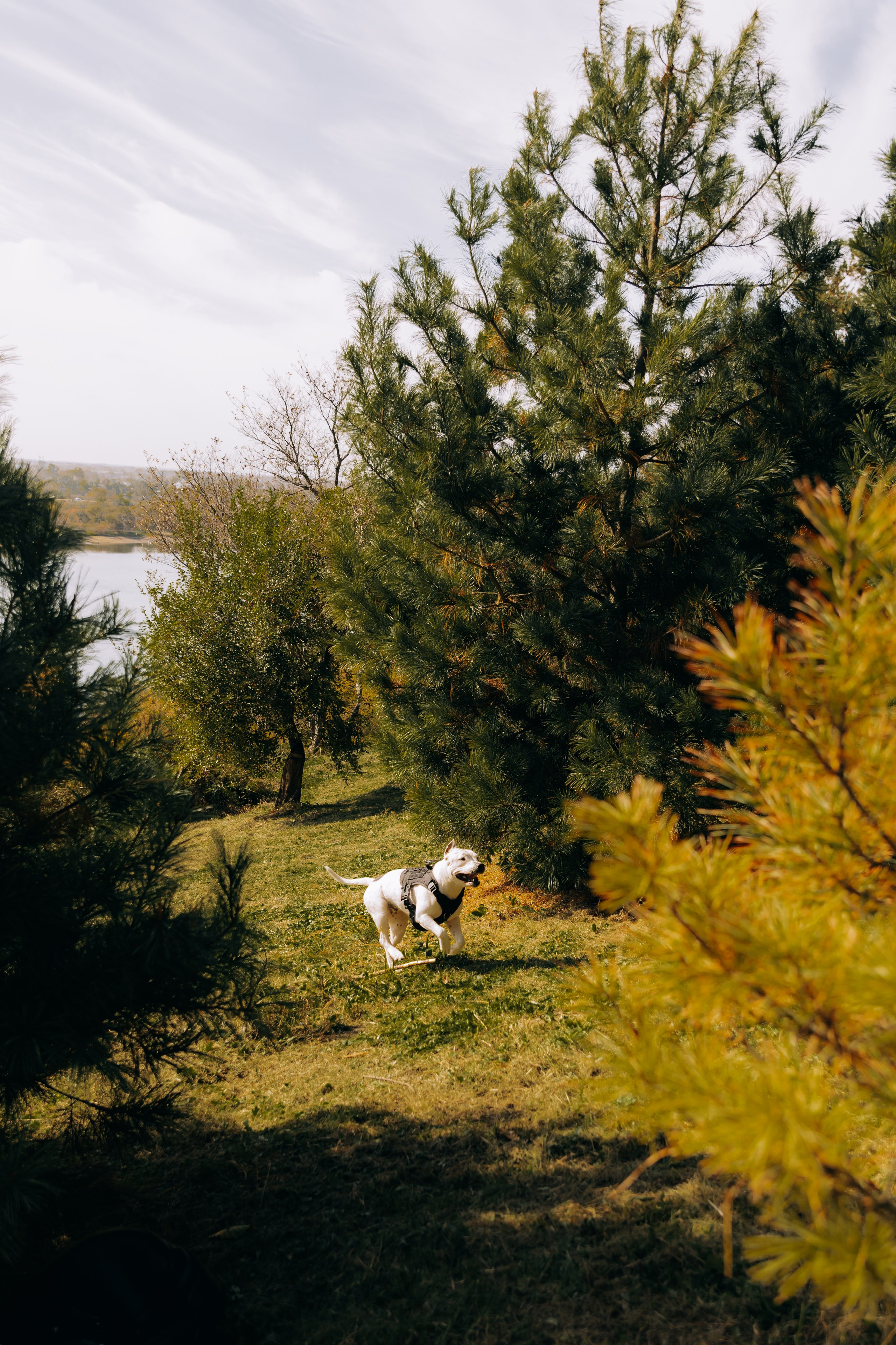 Назар & Дарья. Фотограф во Владивостоке. Юрганова Анна