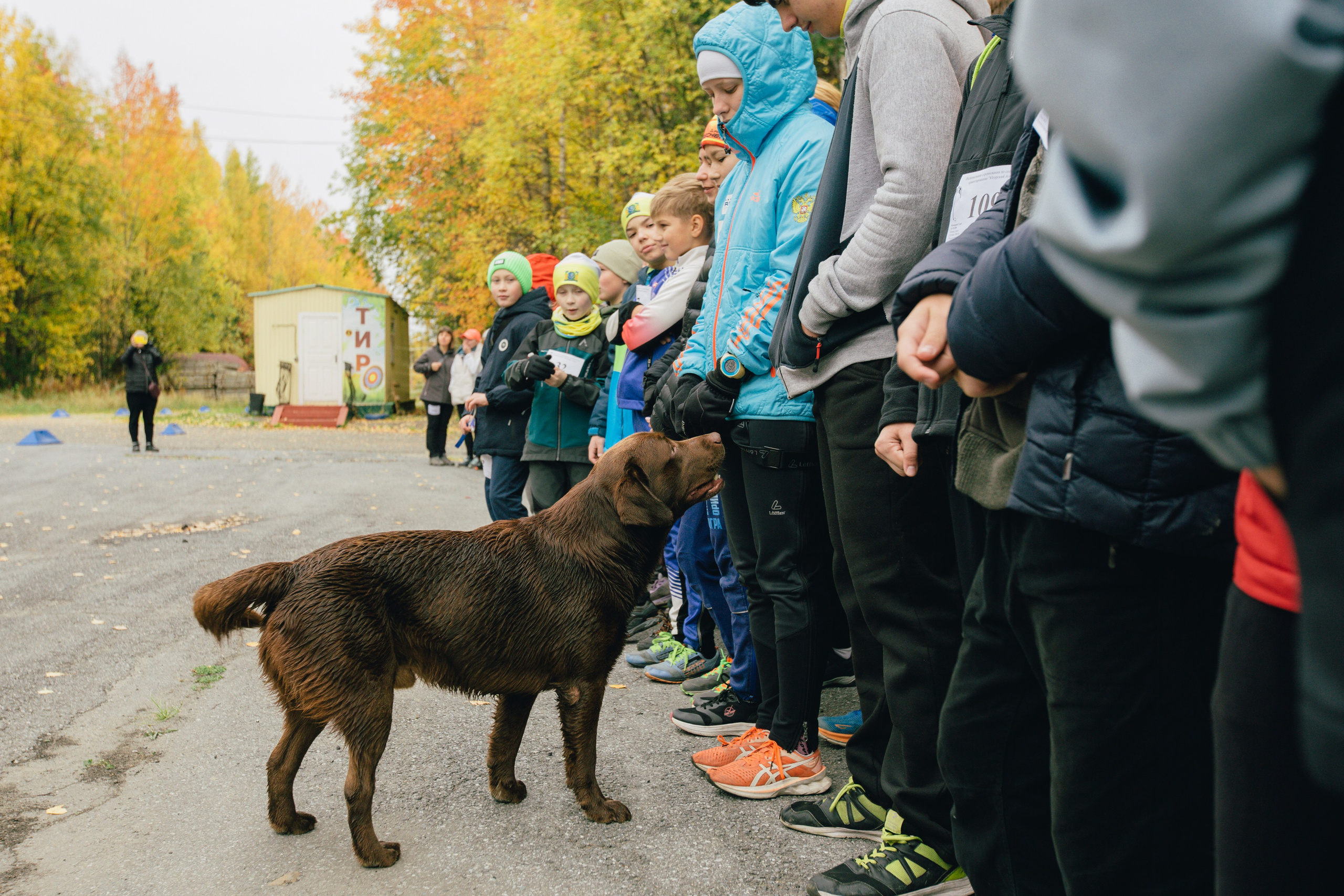 Спортивное ориентирование. Репортажный, семейный фотограф из Нефтеюганска