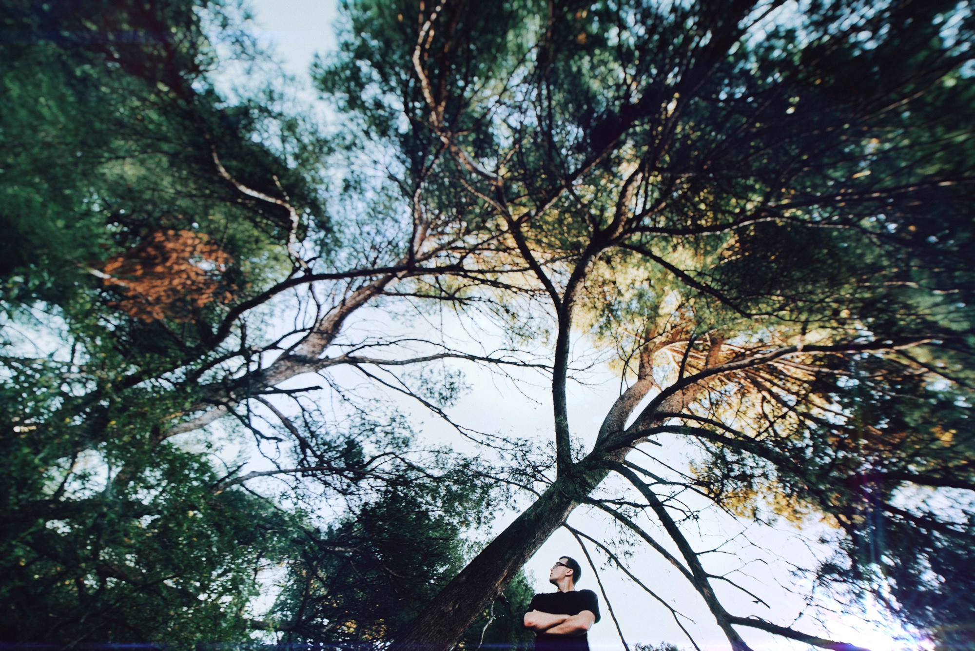 Portfolio. The Andris