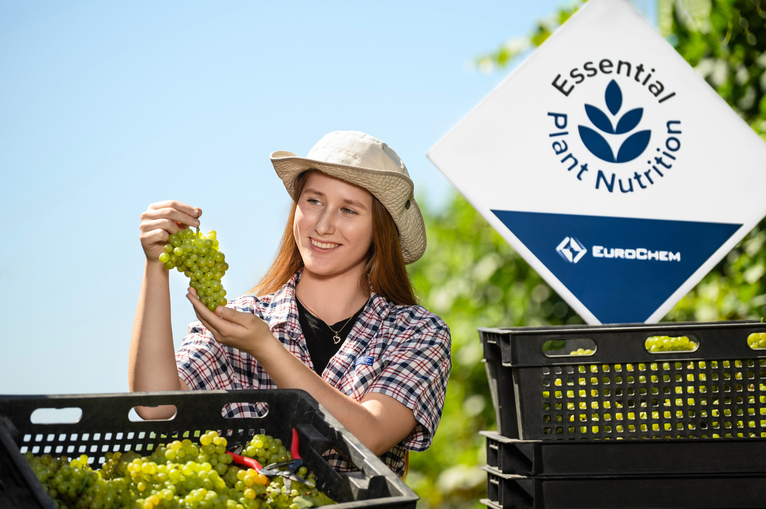 Проекты. Профессиональный фотограф Вячеслав Плацында | Липецк |