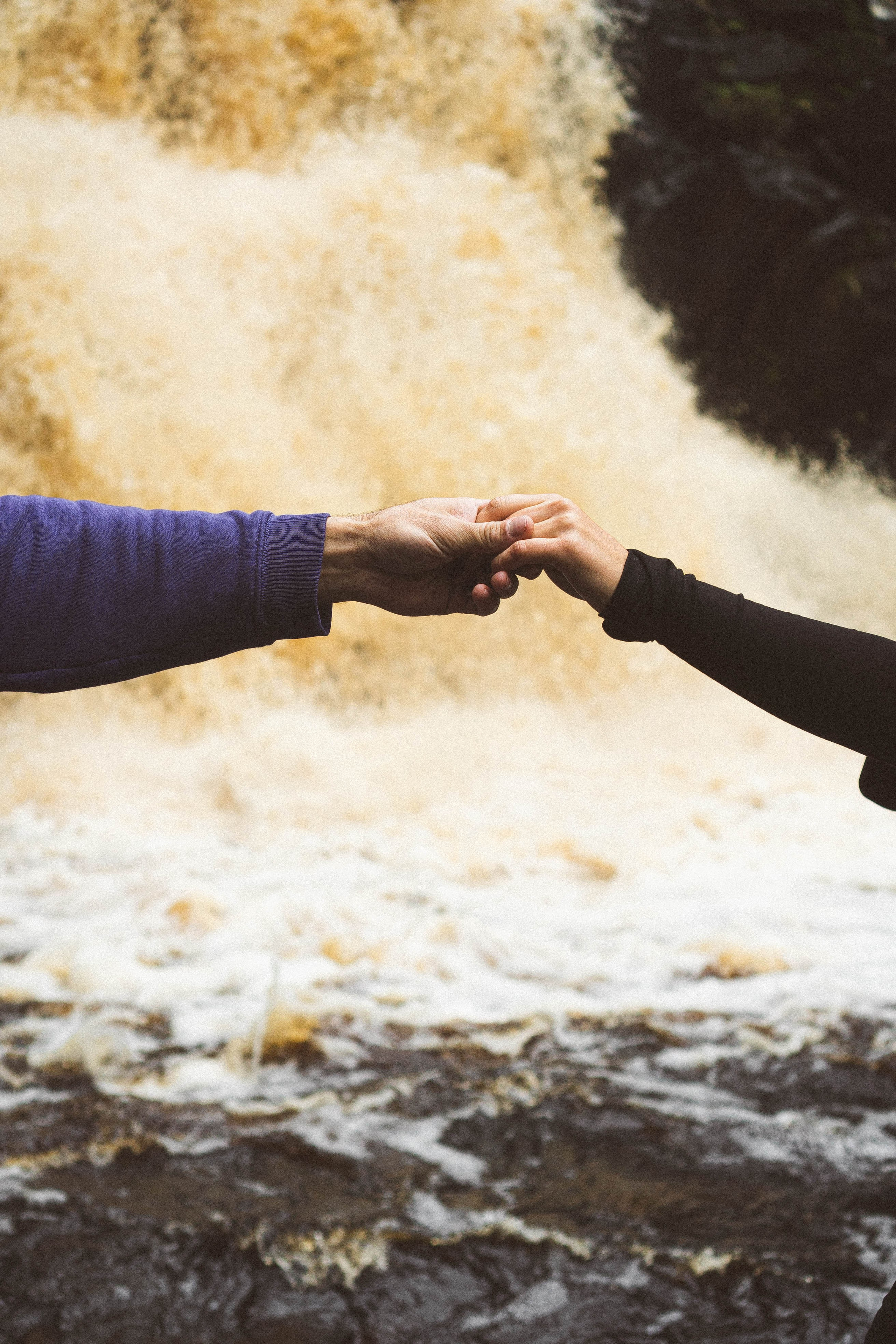 Прогулка на природе. Профессиональный фотограф, Санкт-Петербург — Виктория Богомолова