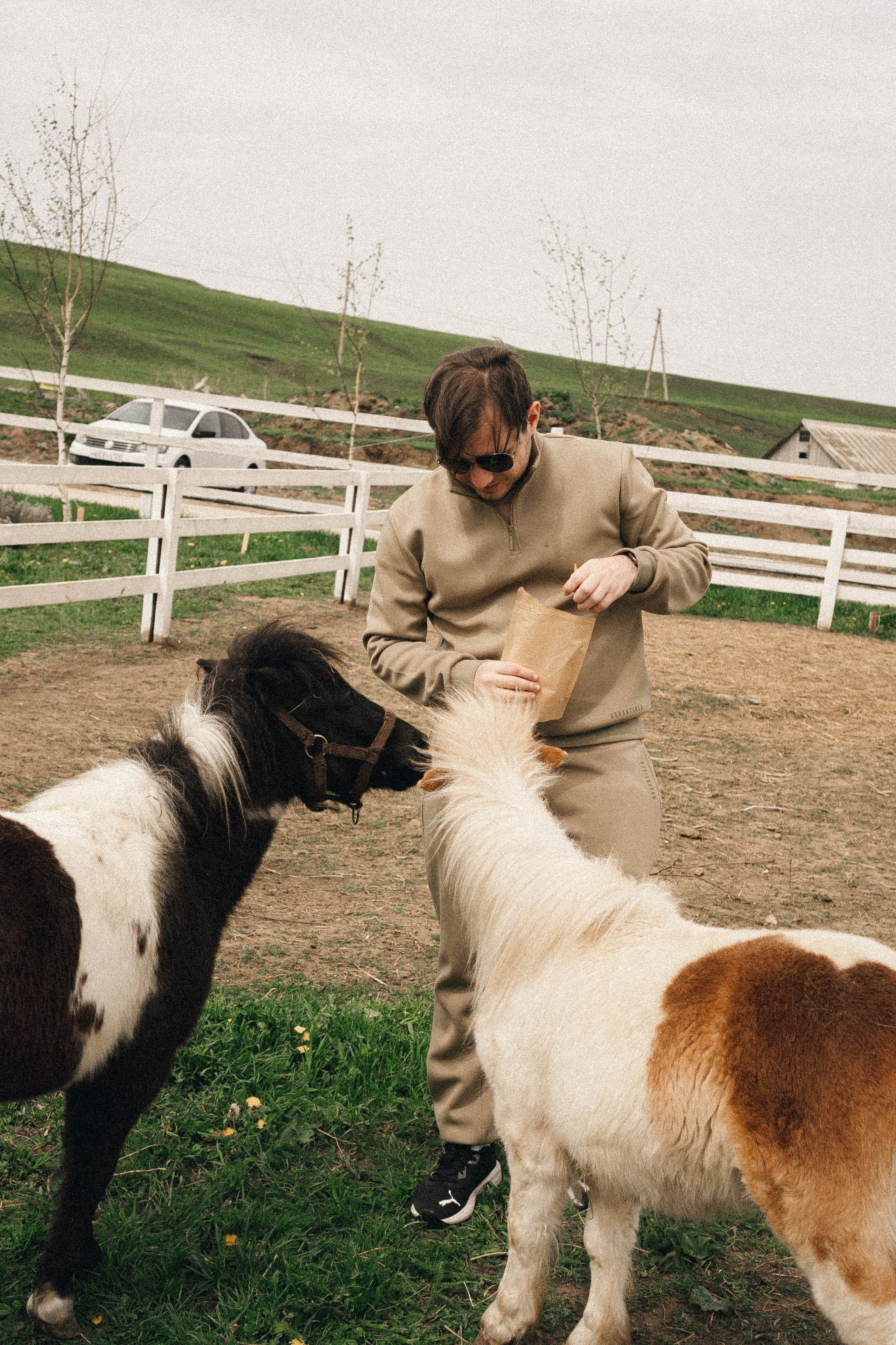 Ферма Альпак. Профессиональный фотограф, Санкт-Петербург — Виктория Богомолова