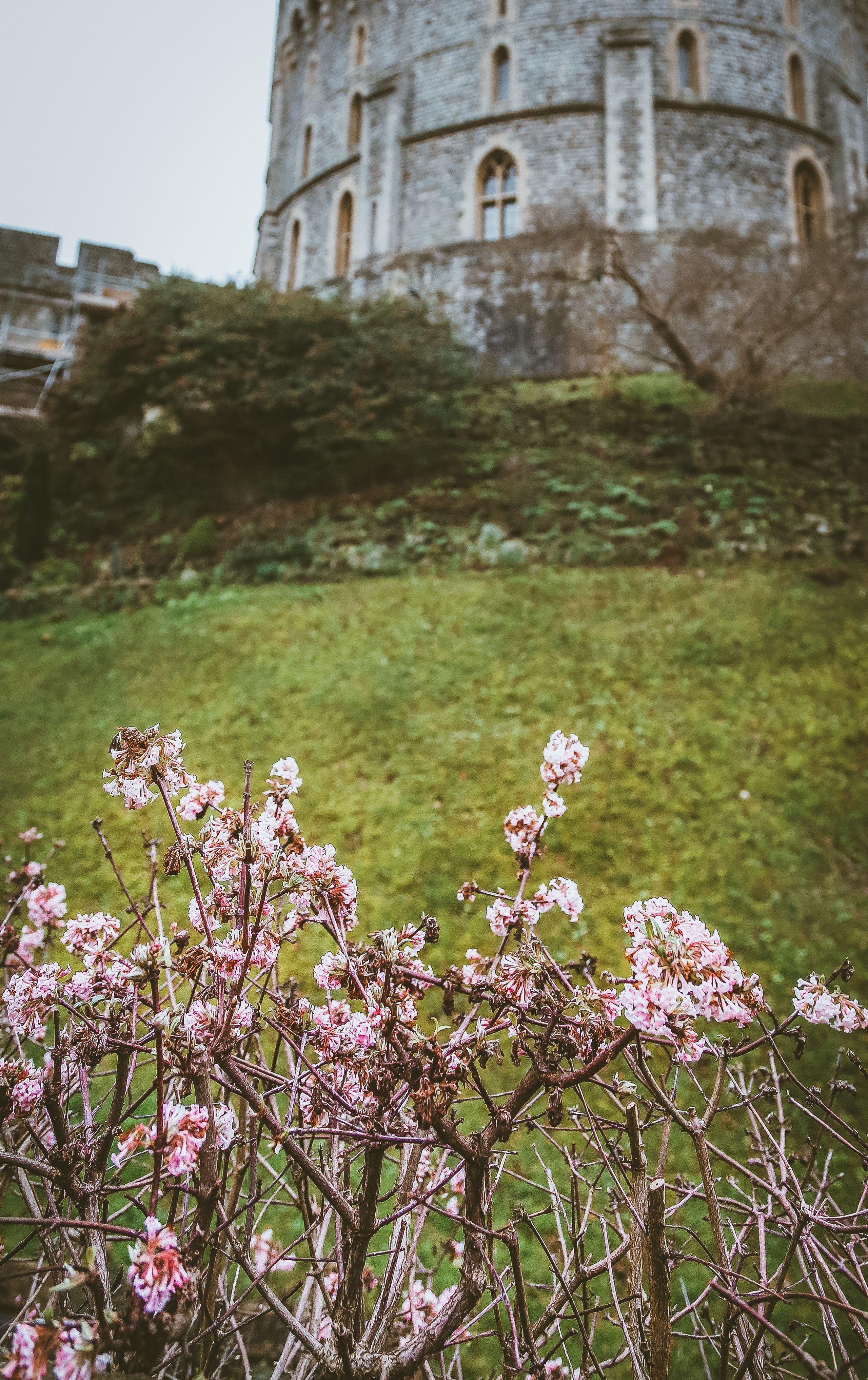 Англия: Гринвич, Хэмптон-Корт, Оксфорд, Виндзор, Стратфорд. Дарья Письменюк / Darya Leitstern — фотограф, музыкант, журналист, путешественник