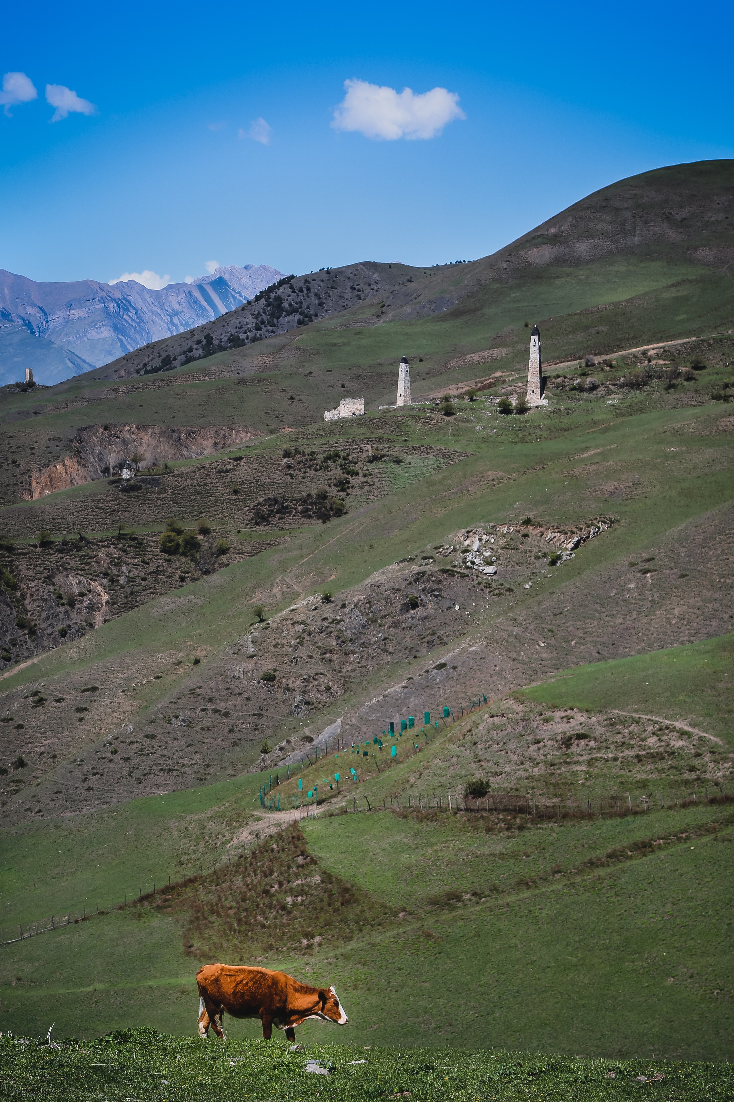 Кавказ: Ингушетия — страна башен. Дарья Письменюк / Darya Leitstern — фотограф, музыкант, журналист, путешественник