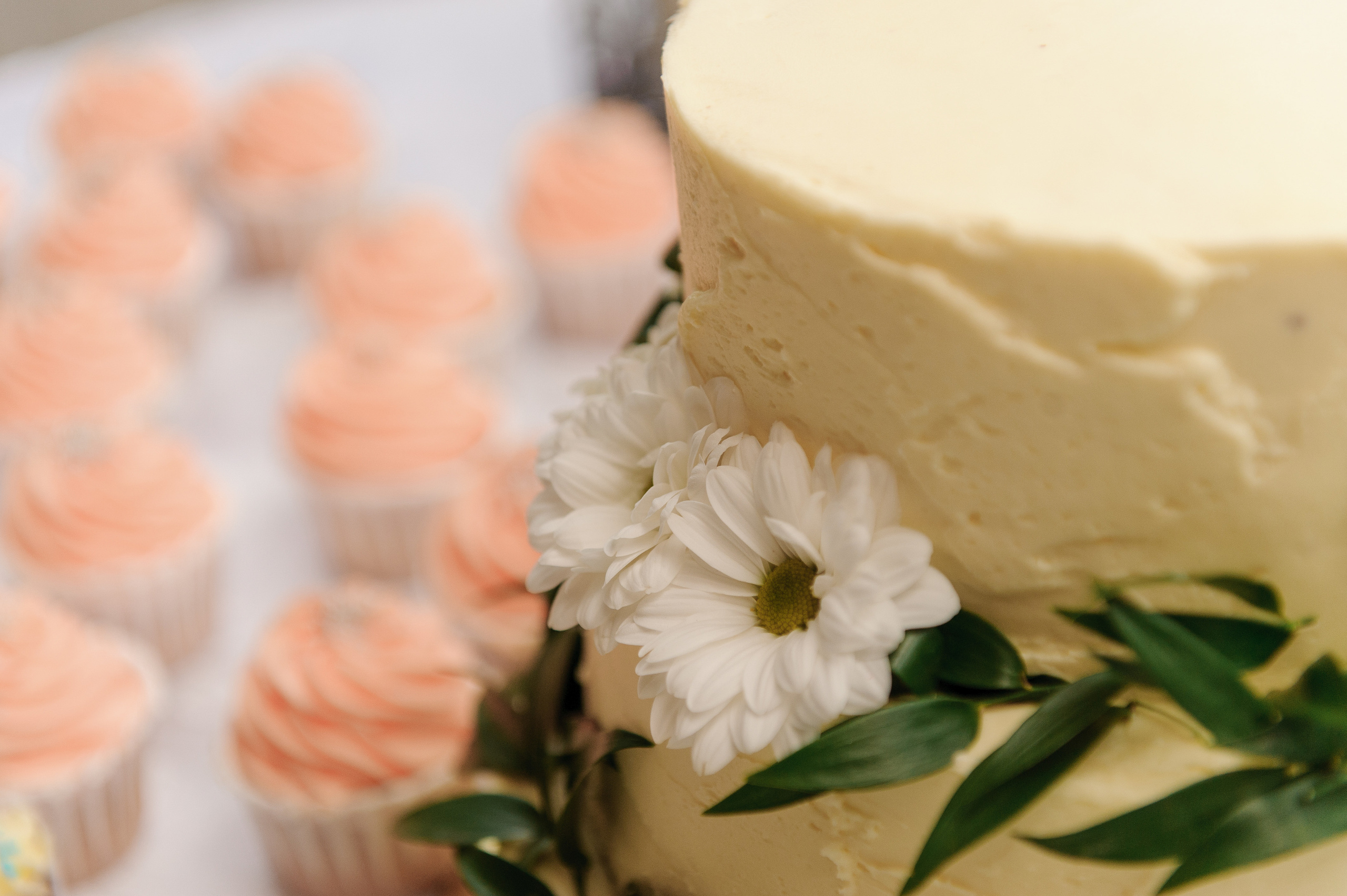 Тимур и Арюна. Семейный и свадебный фотограф в Улан-Удэ, Иркутске Илья Спектор