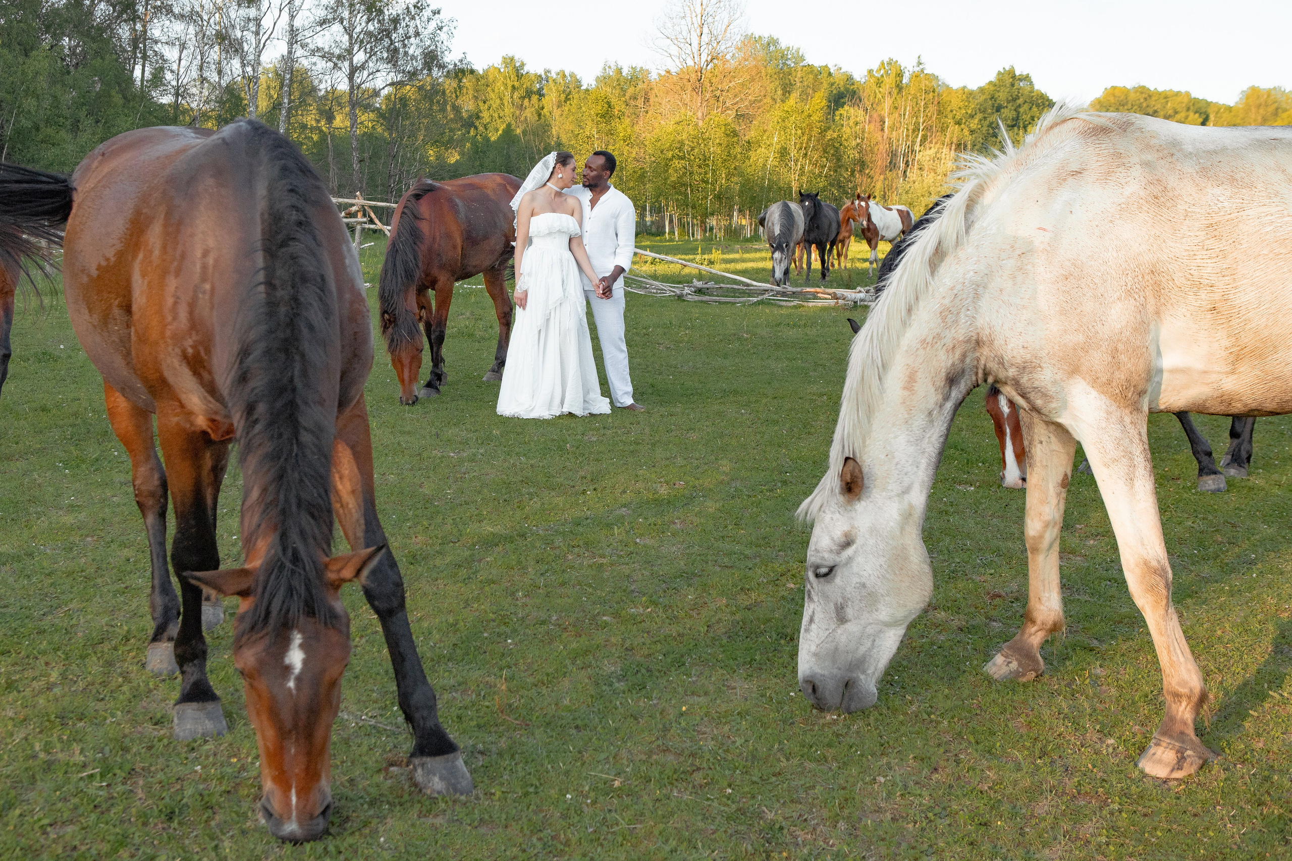 Необычная свадебная фотосессия в Москве с лошадьми