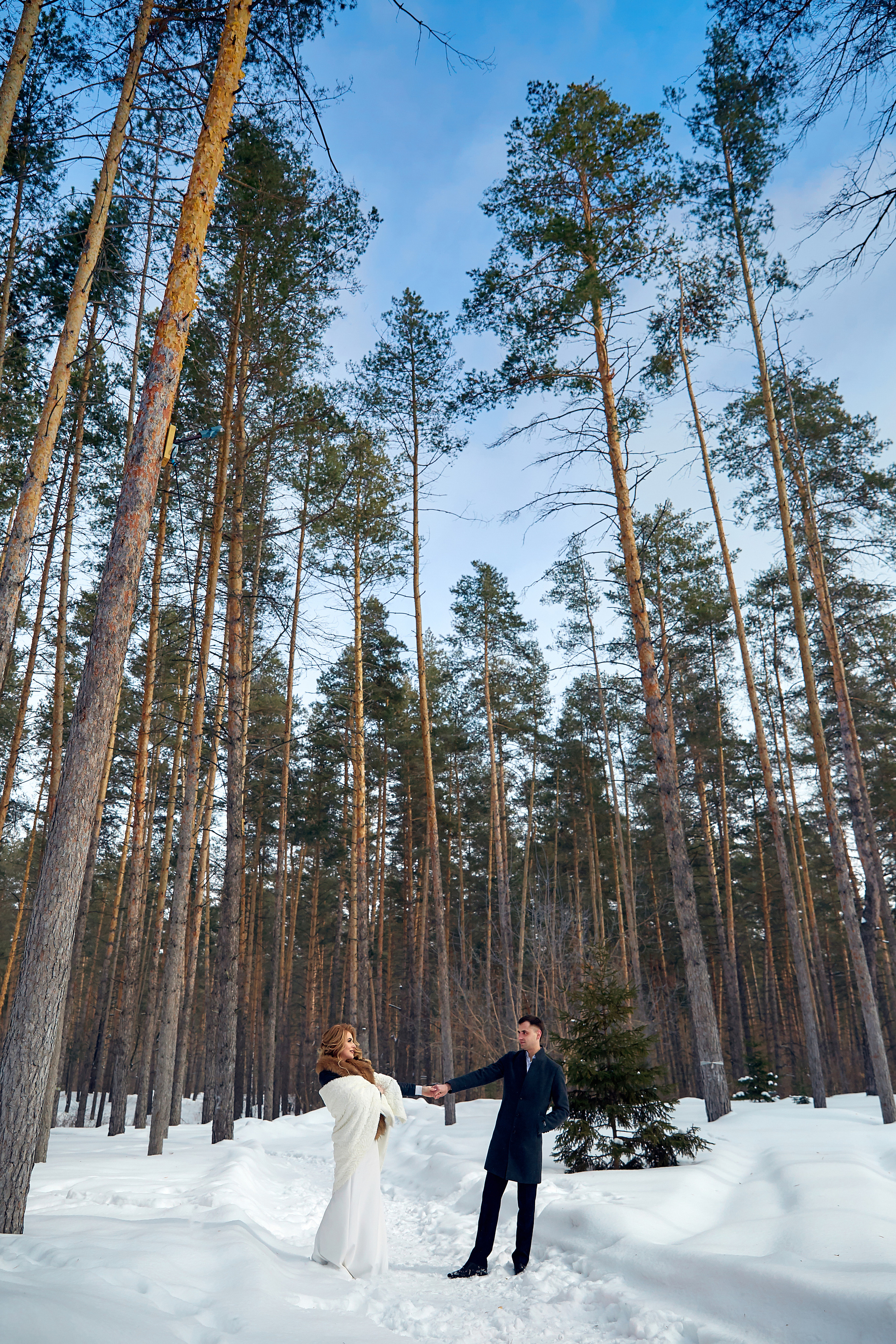 Денис и Елена. Свадебный фотограф в Тольятти Жигулевске и Самаре Пономарев Евгений