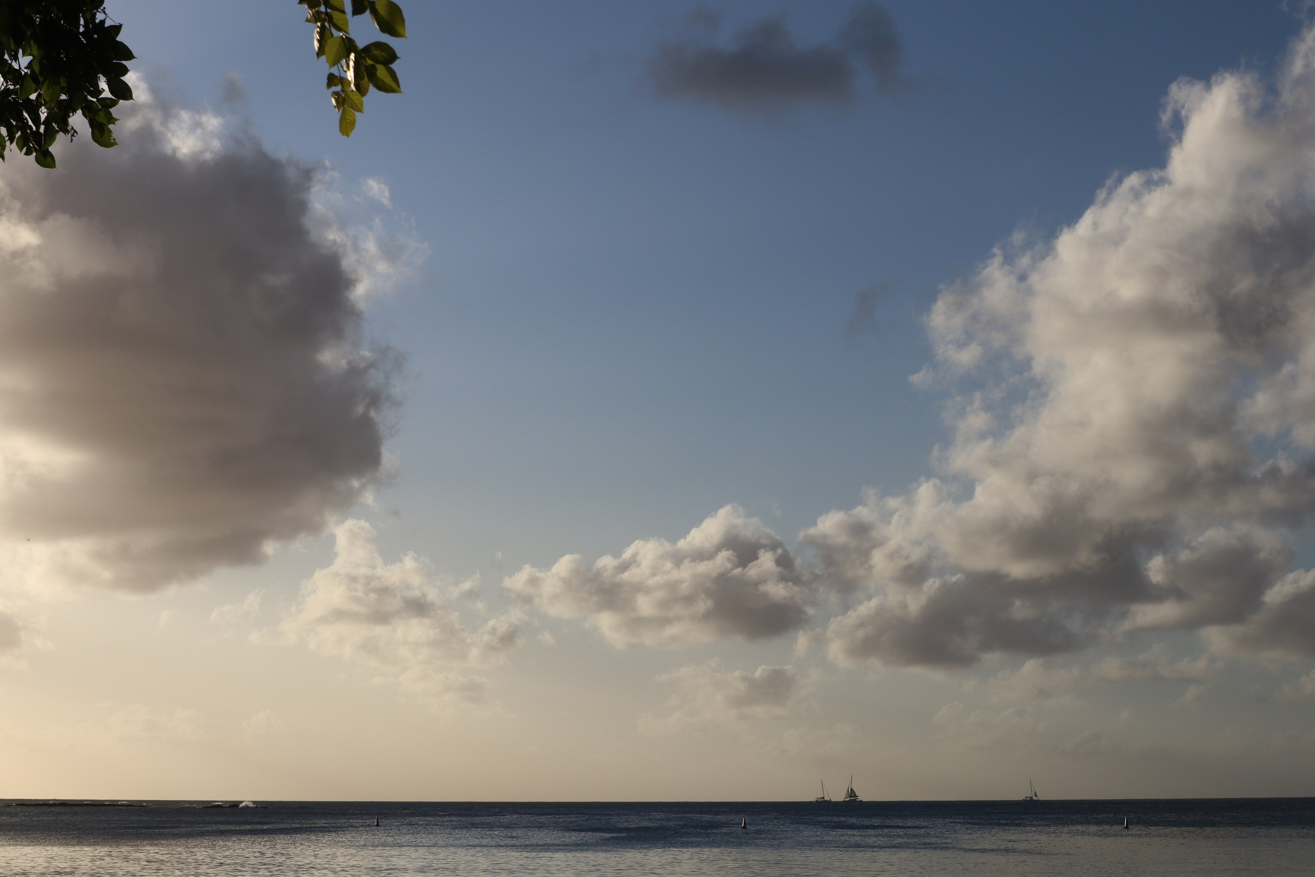 Путешествие на родину птицы додо. Travel photographer Ksenia