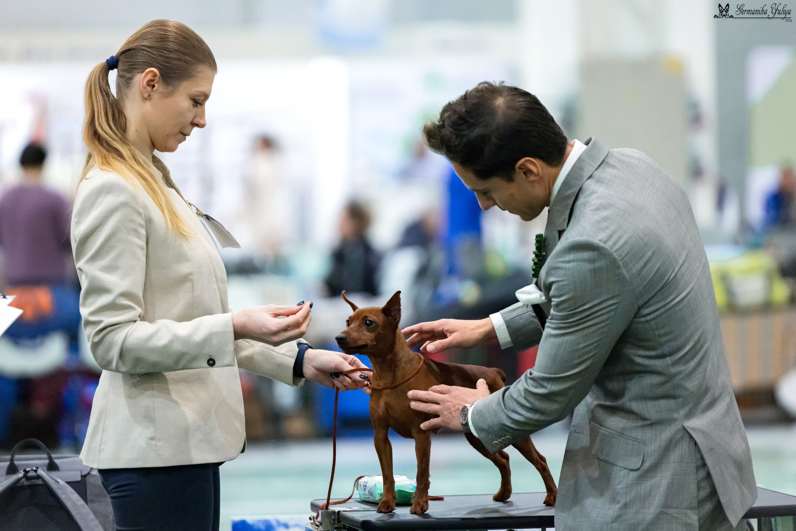 Сабанеевка 26-27.01.2024. Фотограф-анималист Юлия Германика