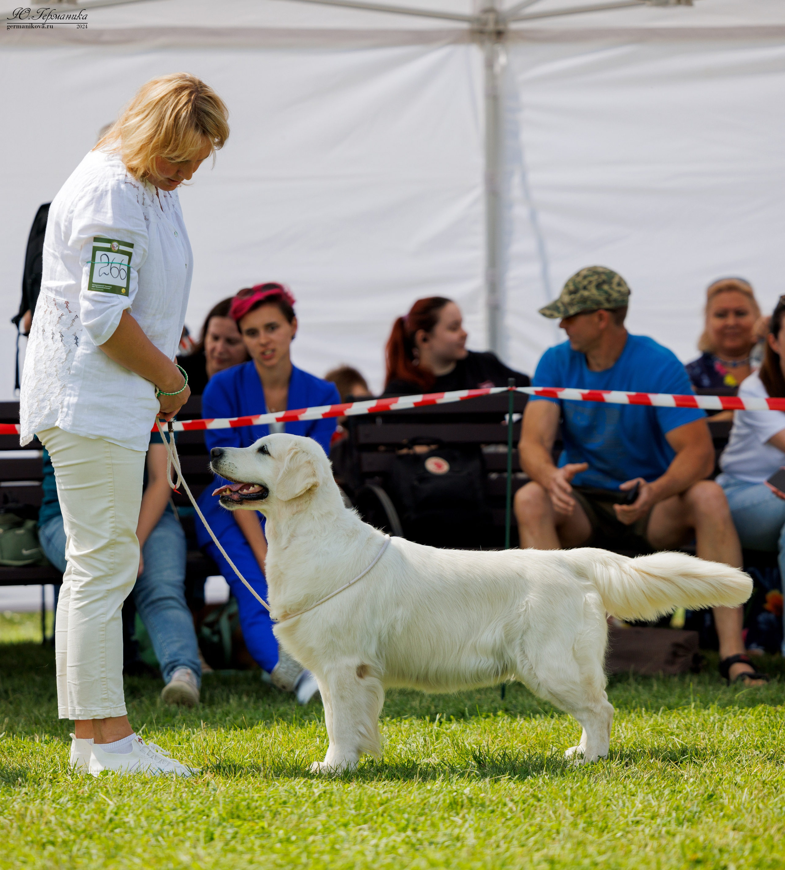 Голдены 15-16.06.2024. Фотограф-анималист Юлия Германика