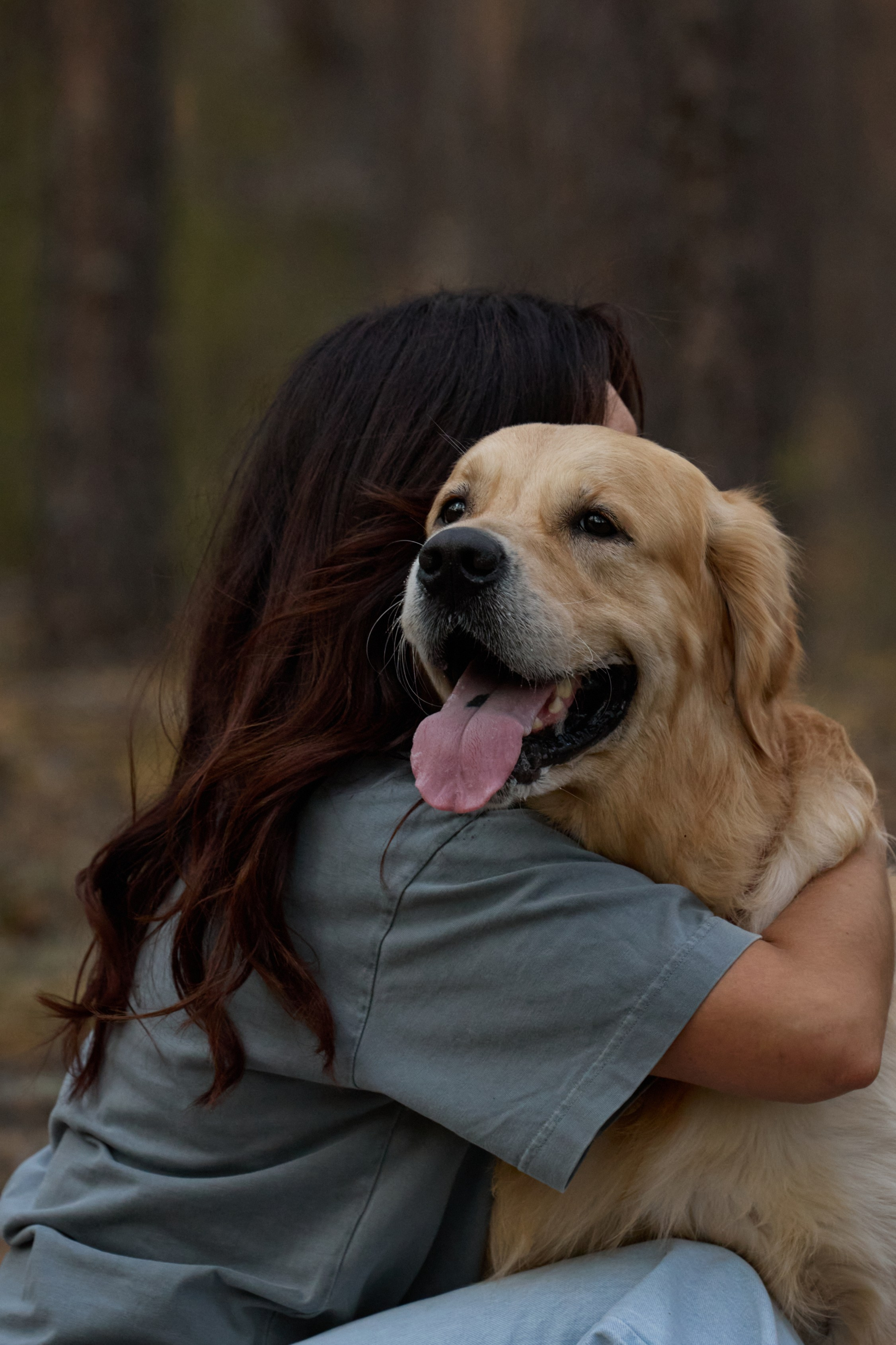 В Марийских лесах. Фотограф анималист в Казани Алина Сулейманова. Фотограф животных