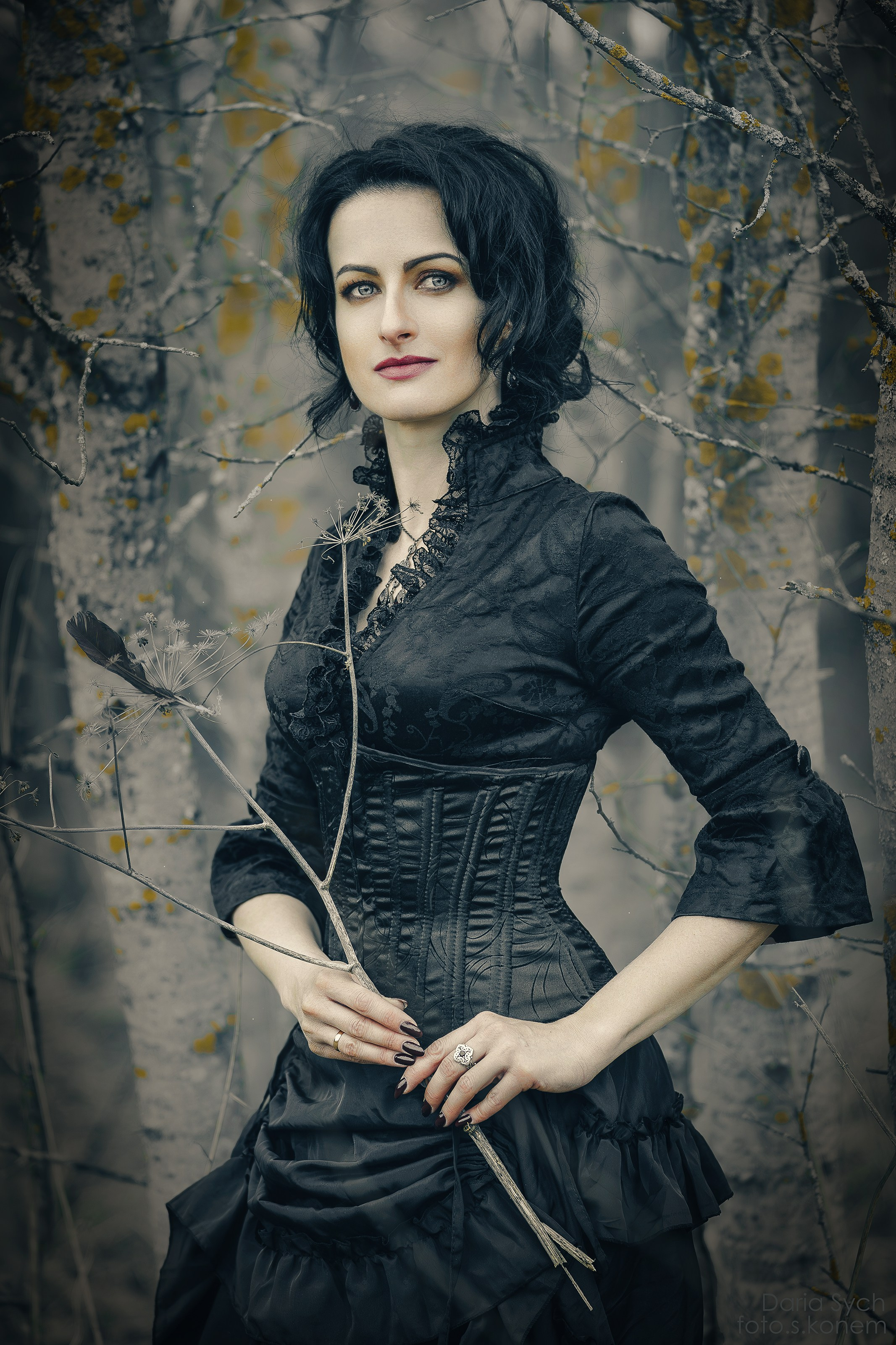 Волшебный лес. Фотограф Дарья Соколовская