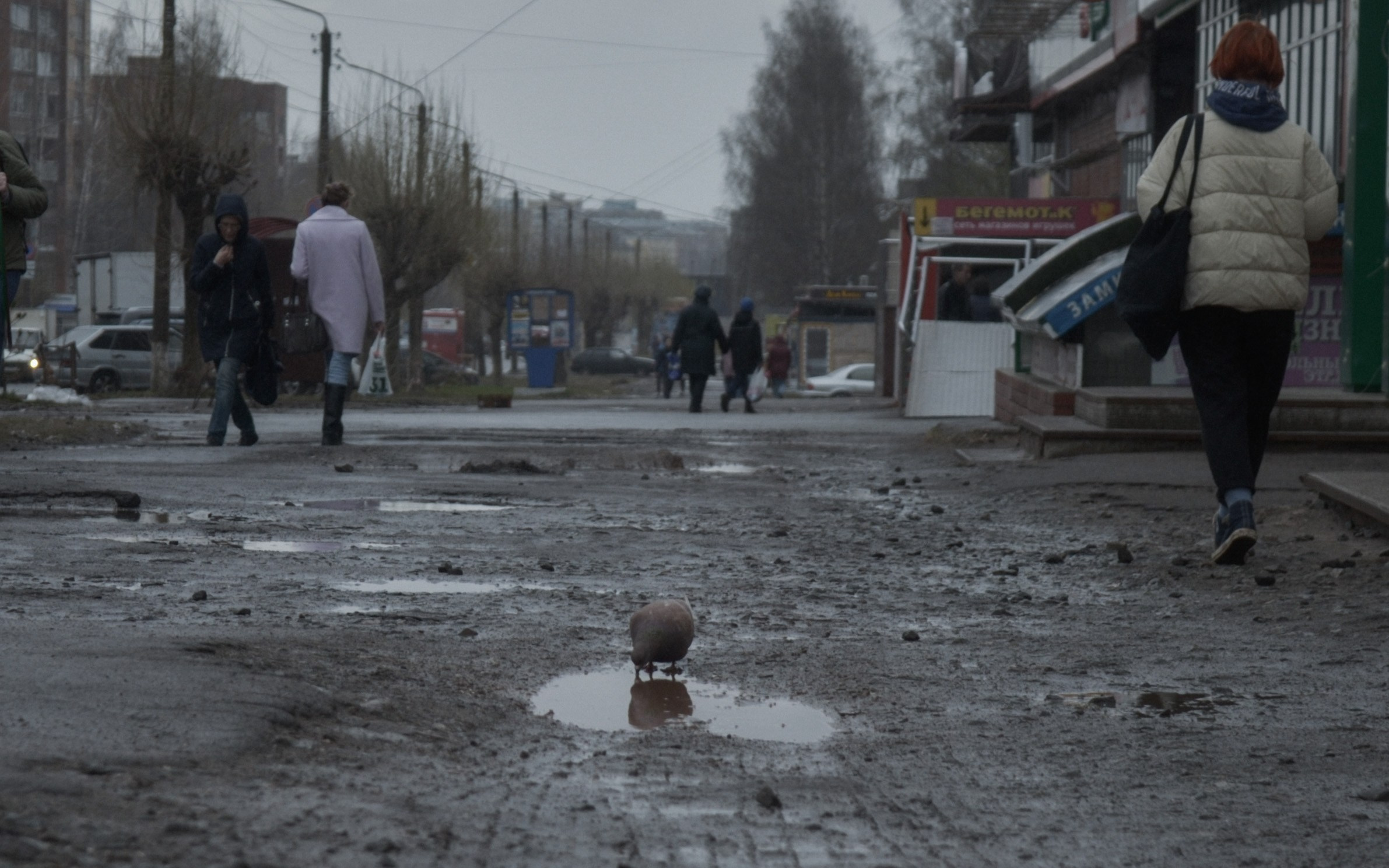 «П.ДД.Н». Fedor Kalinin