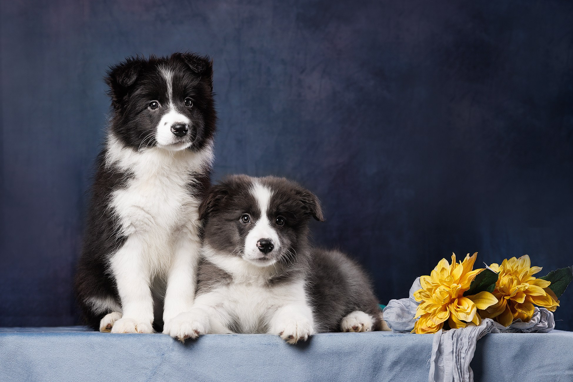 На водной основе. О нас