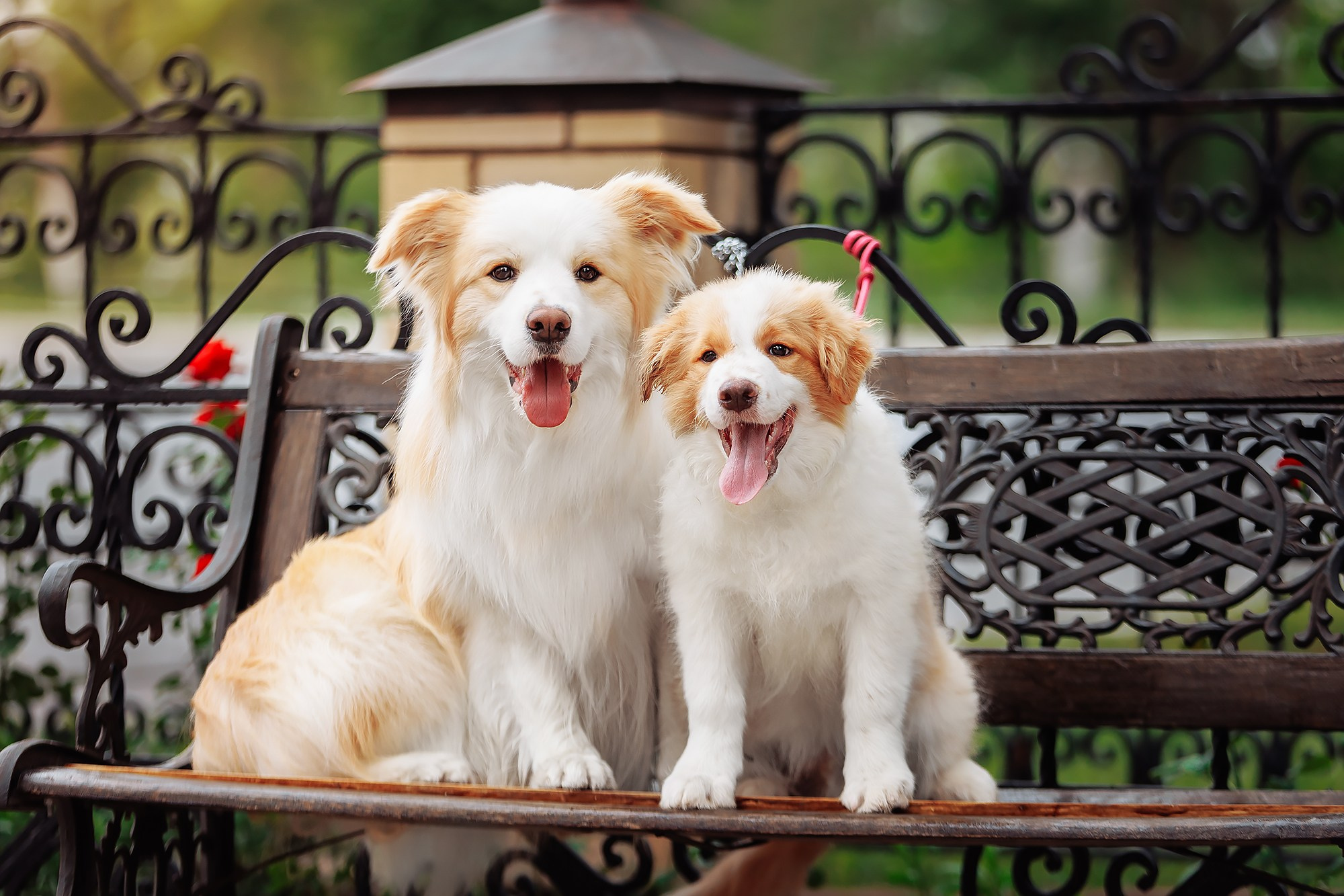 Краски 23. О нас