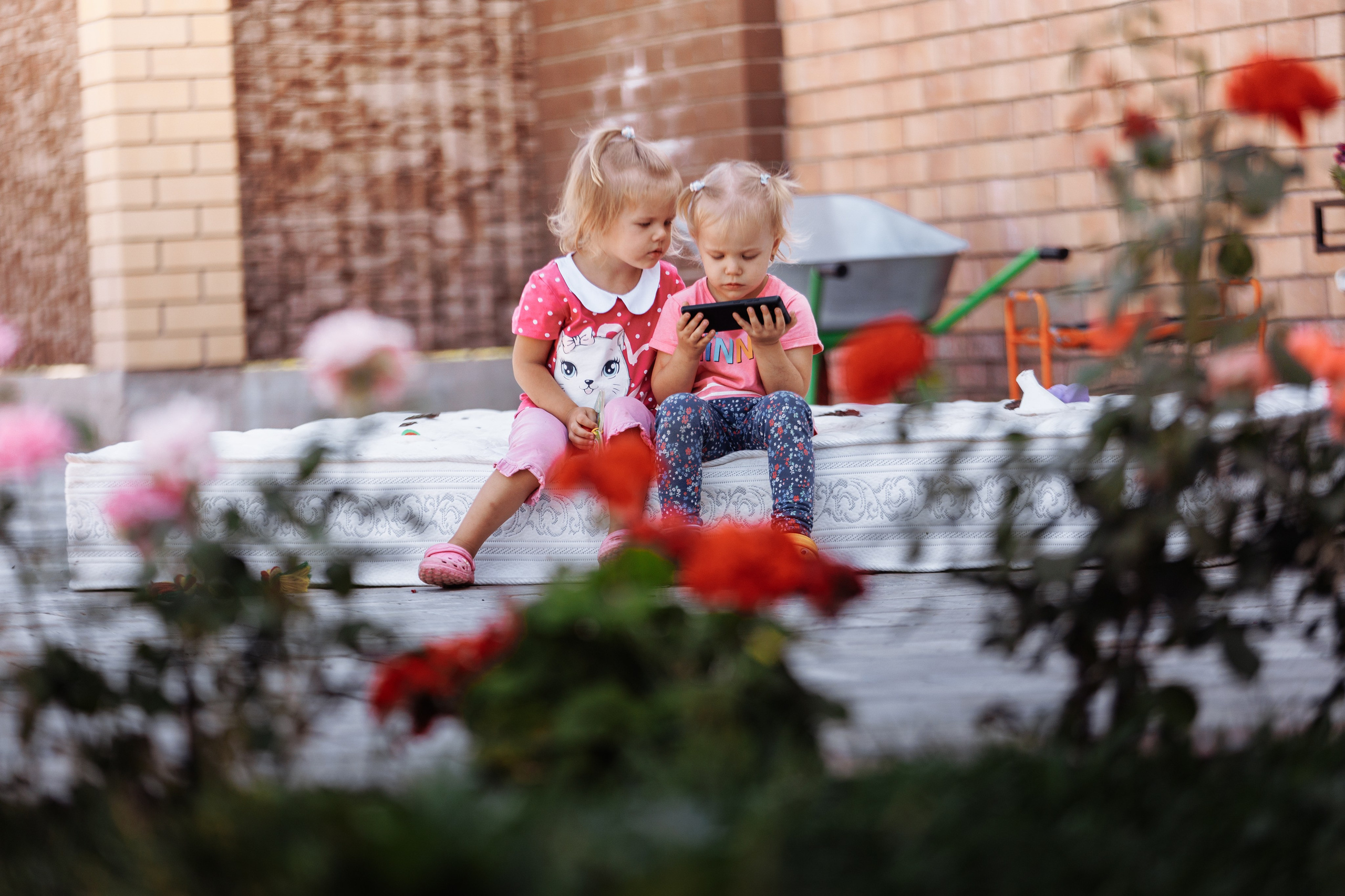 МММ — маленькое мягкое милое. О нас