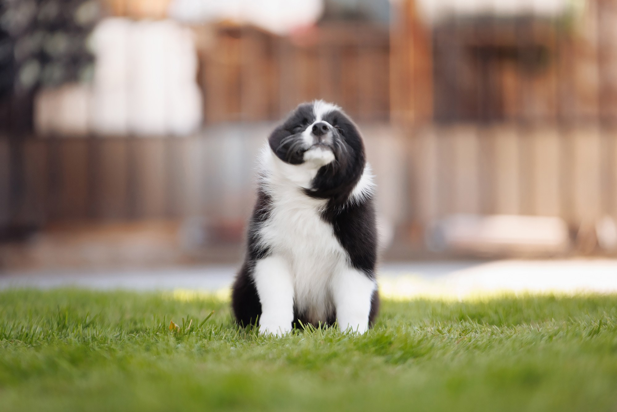 Трава у дома. О нас