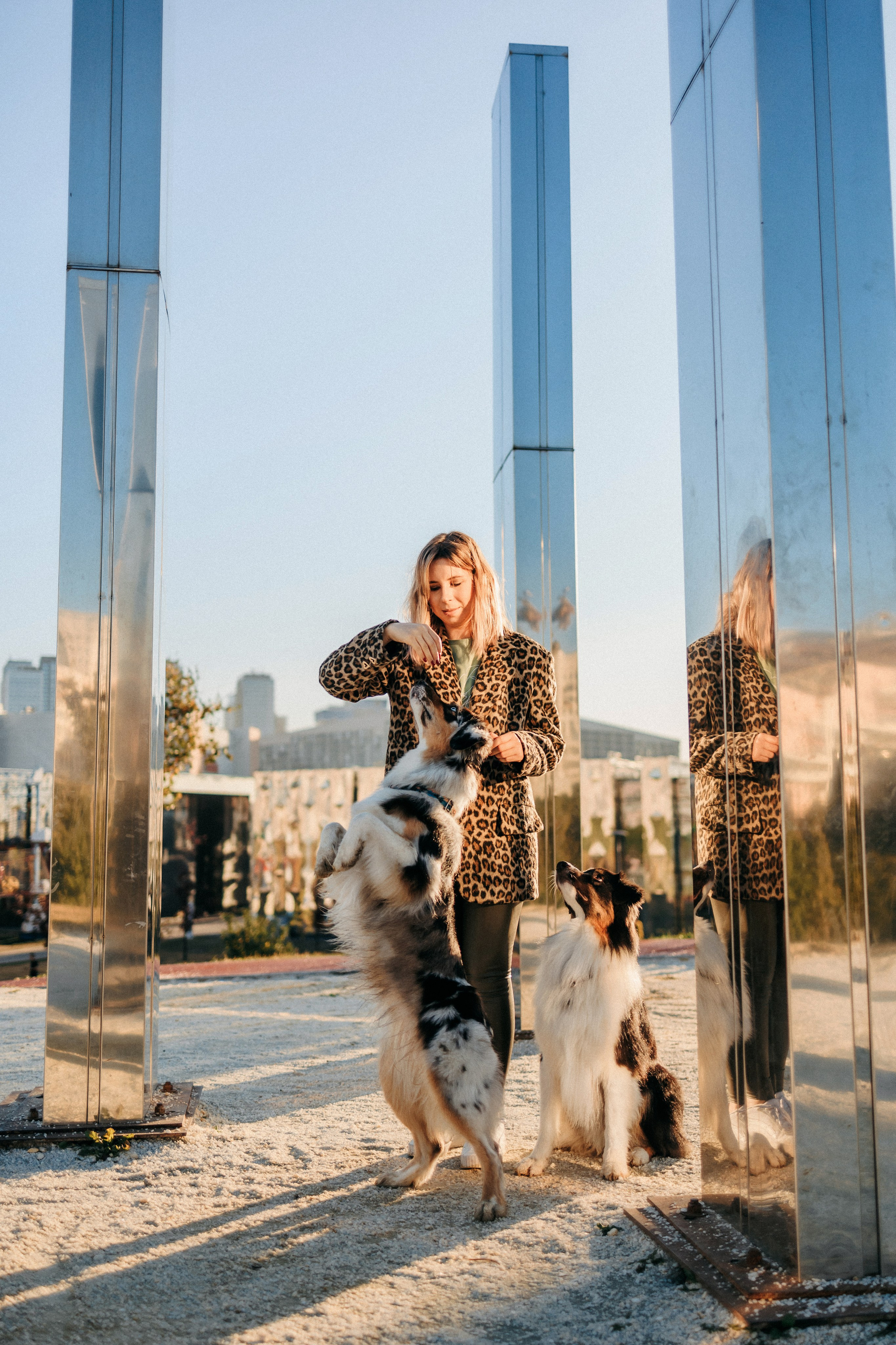 Аня, Чарли и Ева. Фотограф-анималист Елена Радченко, Москва