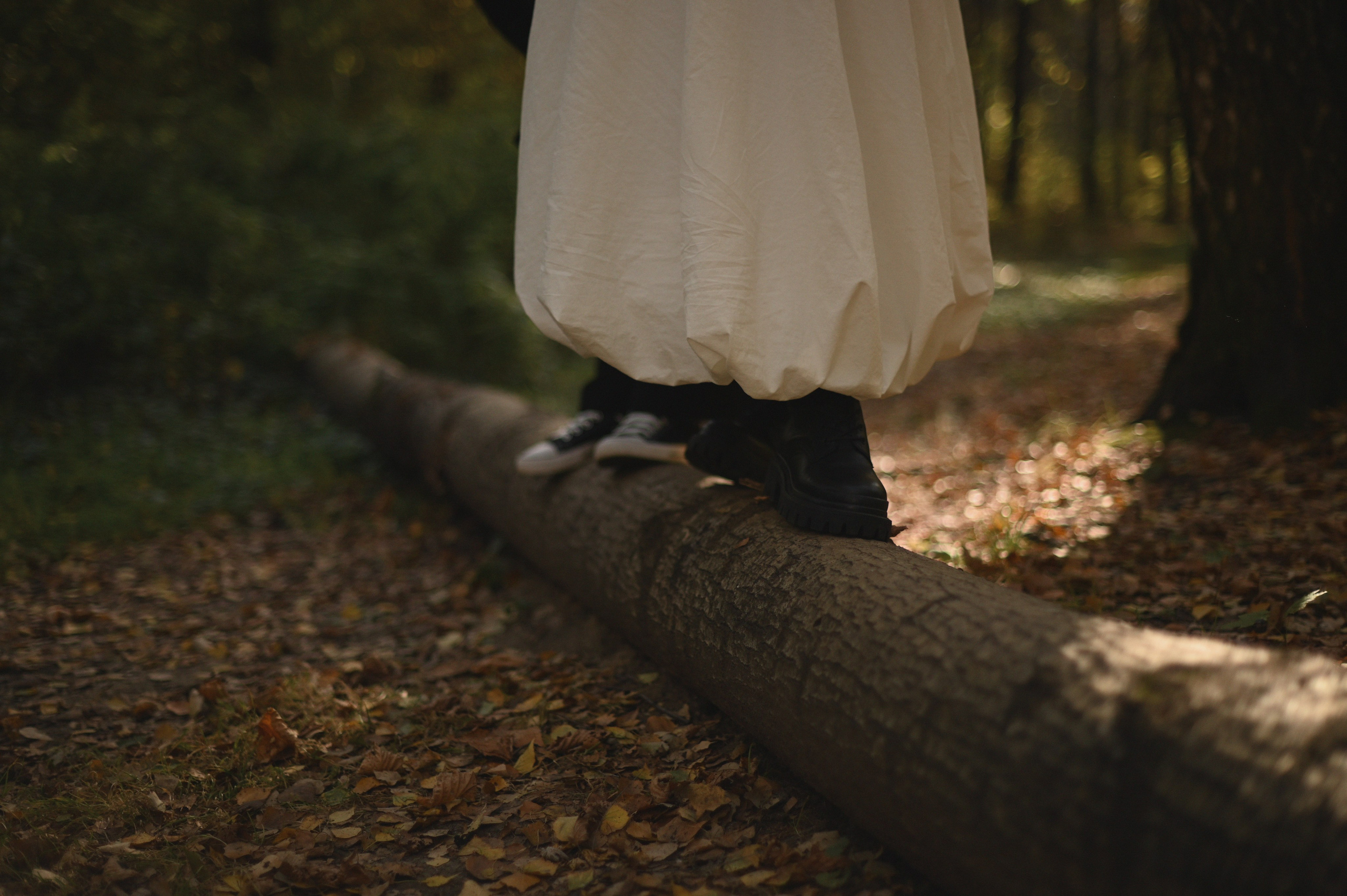 Дерево любви. Фотограф Евгения Пронькина