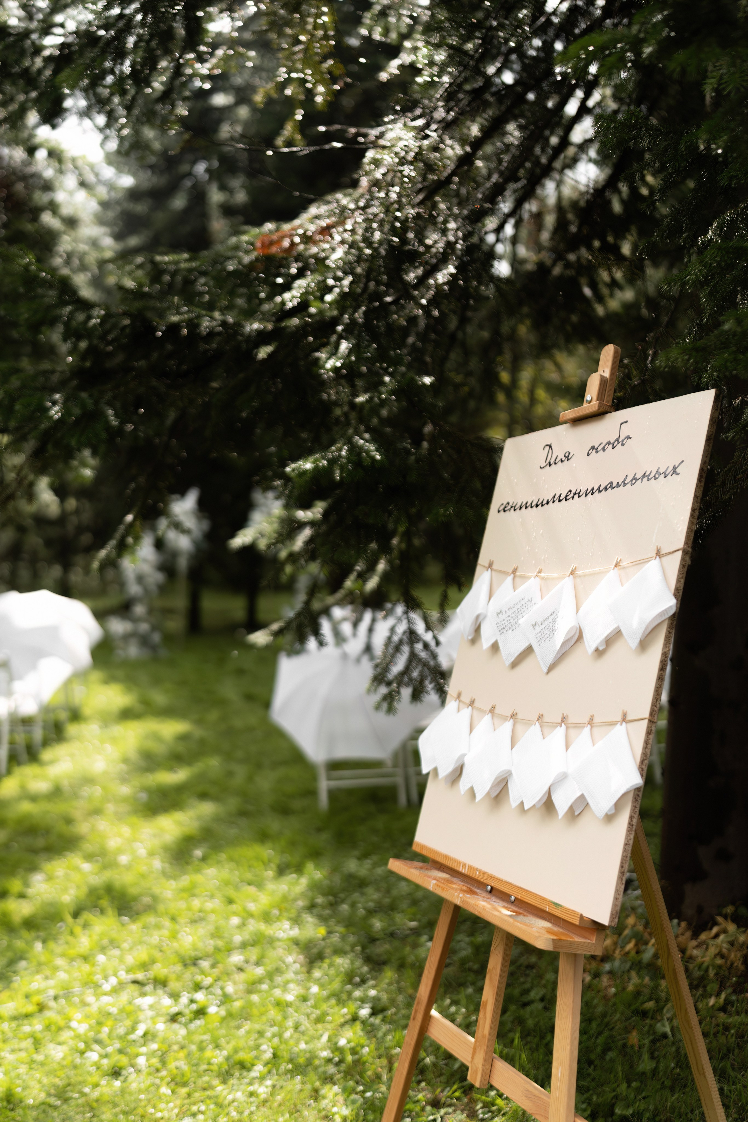 Никита и Татьяна. Свадебный фотограф в Барнауле Четошникова Анна