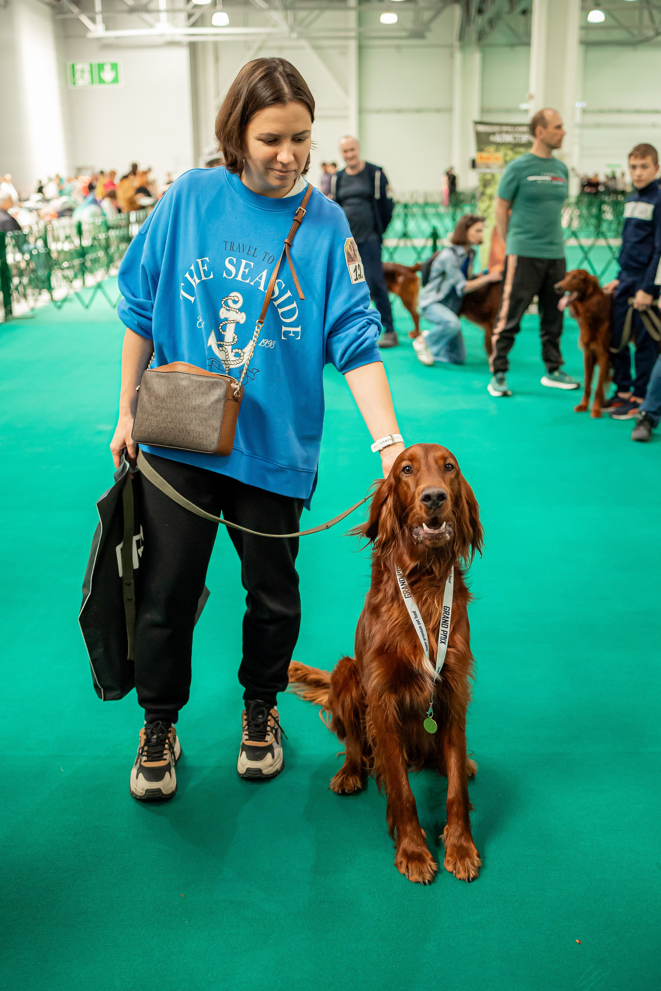 Выставка сеттеров 19.05.24
