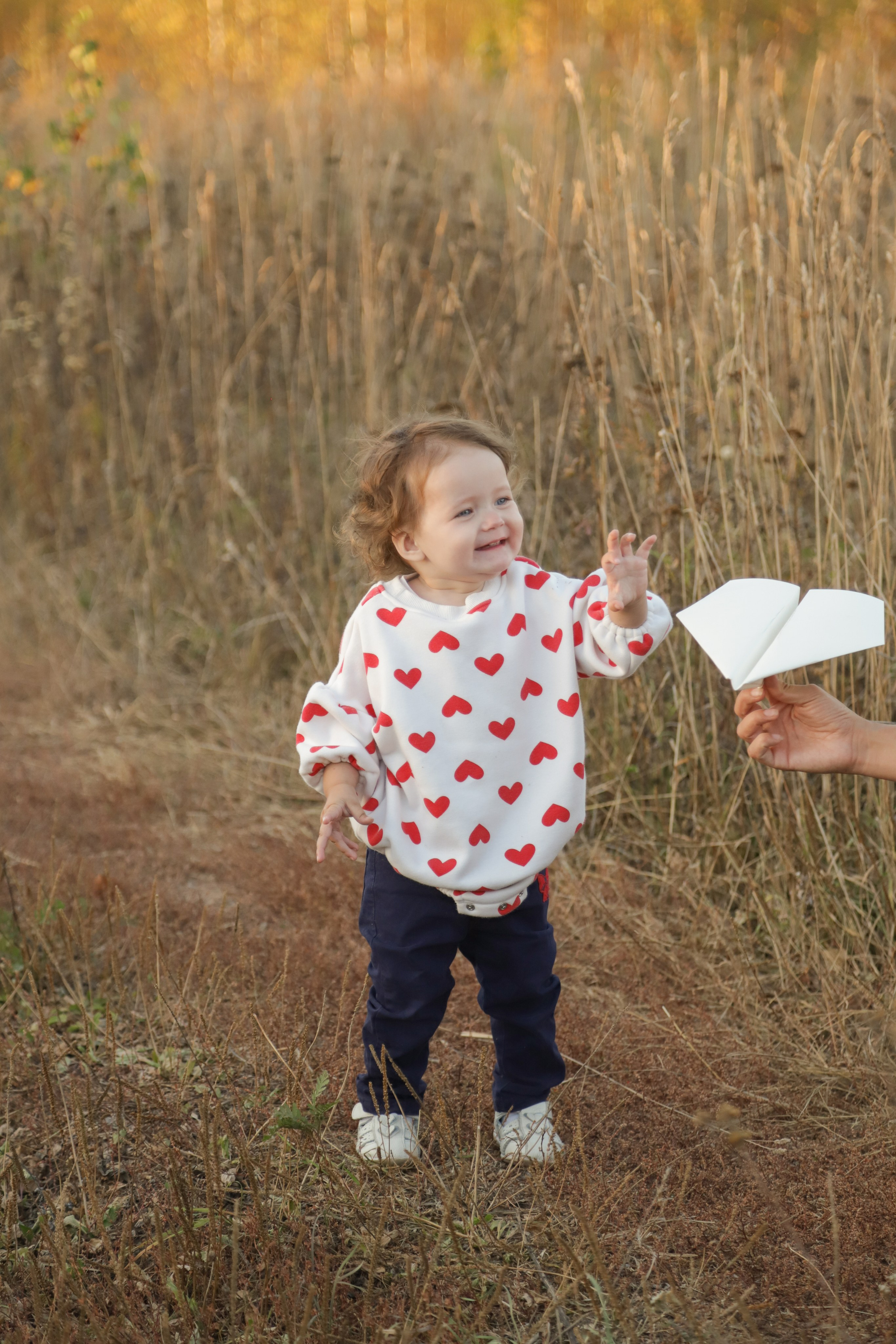 Семейная фотосессия на закате. Диана Николаева — фотограф город Балашиха
