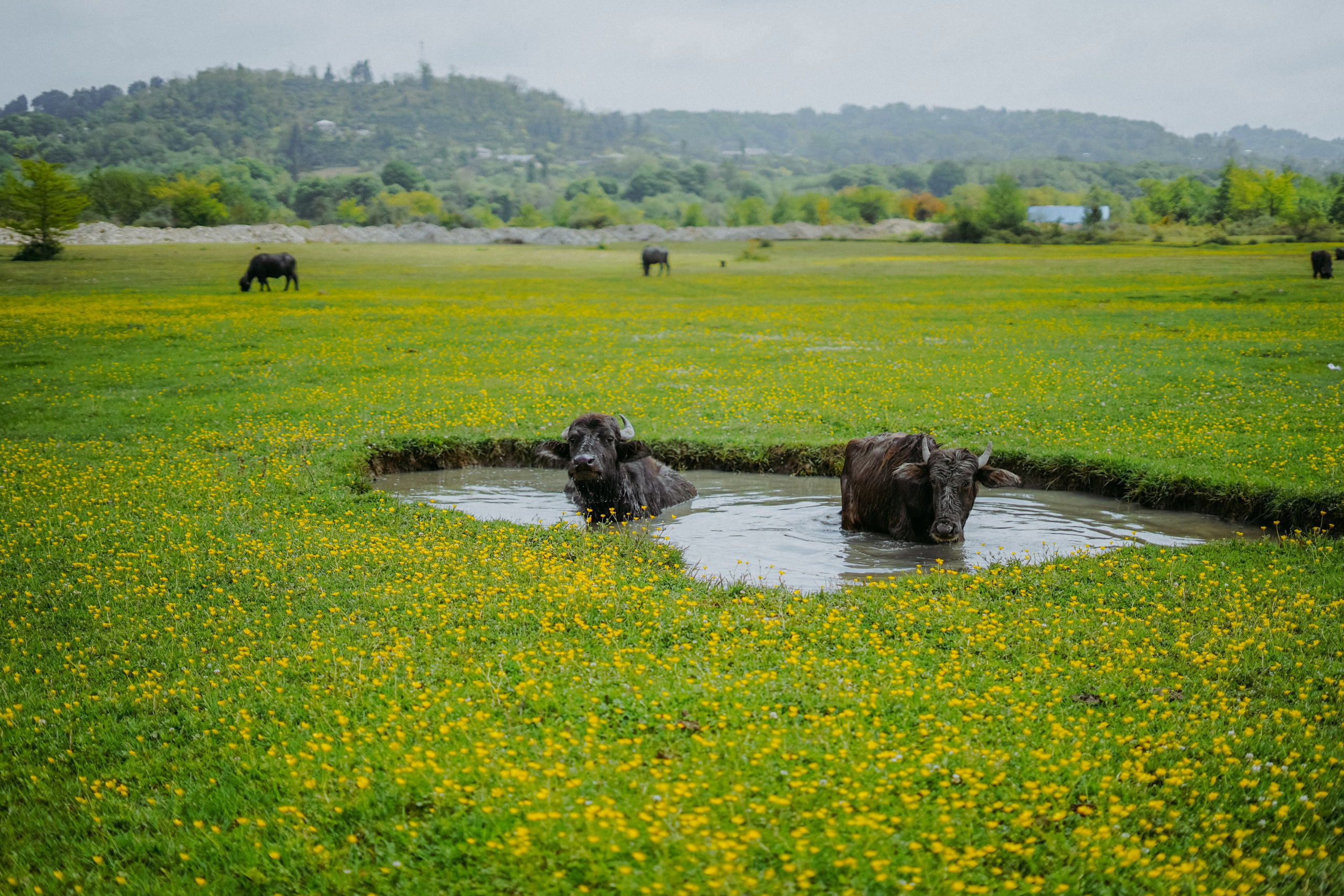 Сухум и окрестности