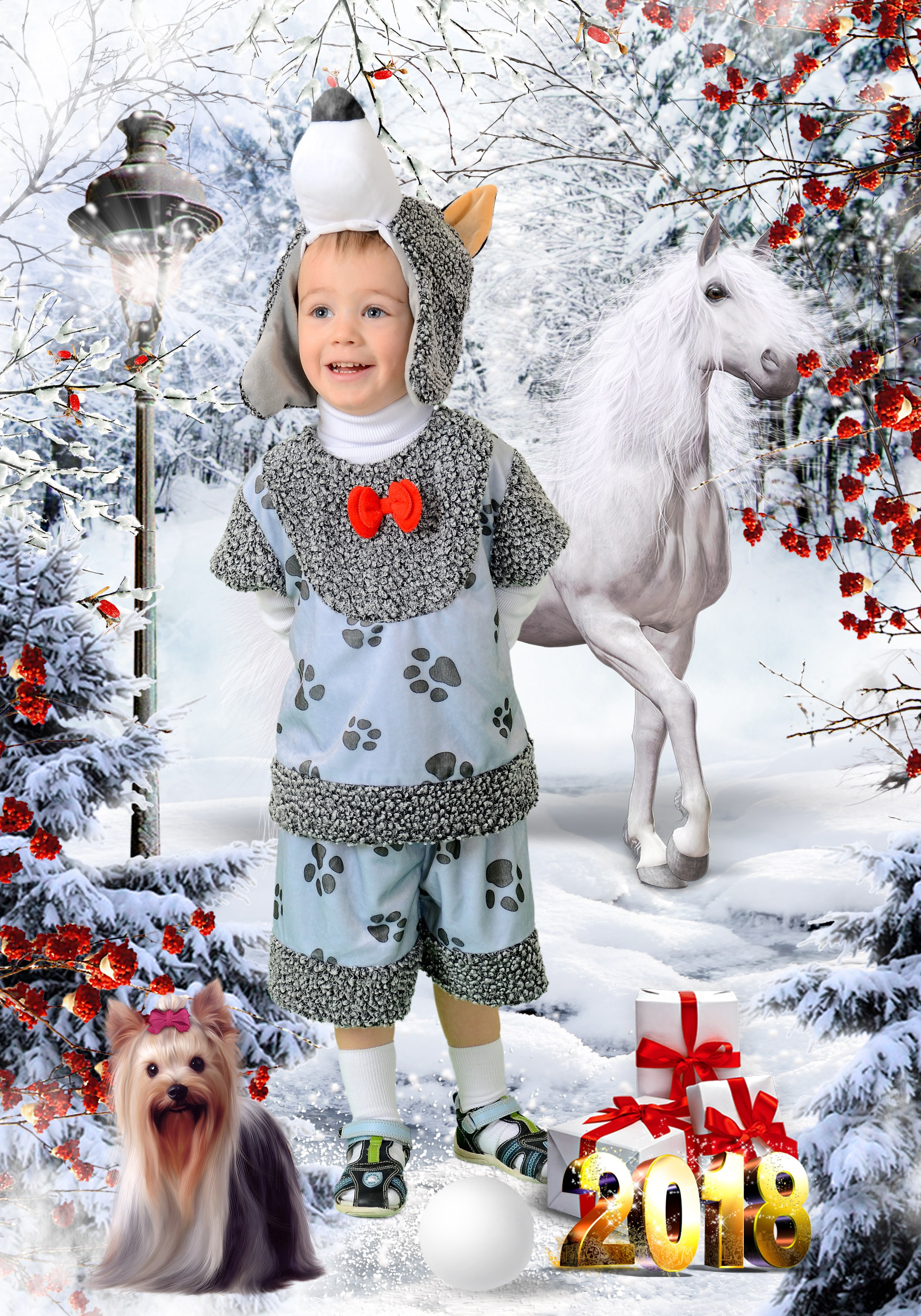 Новый год. Выпускные фотокниги, фотосъемка, видеосъемка в Челябинске и области