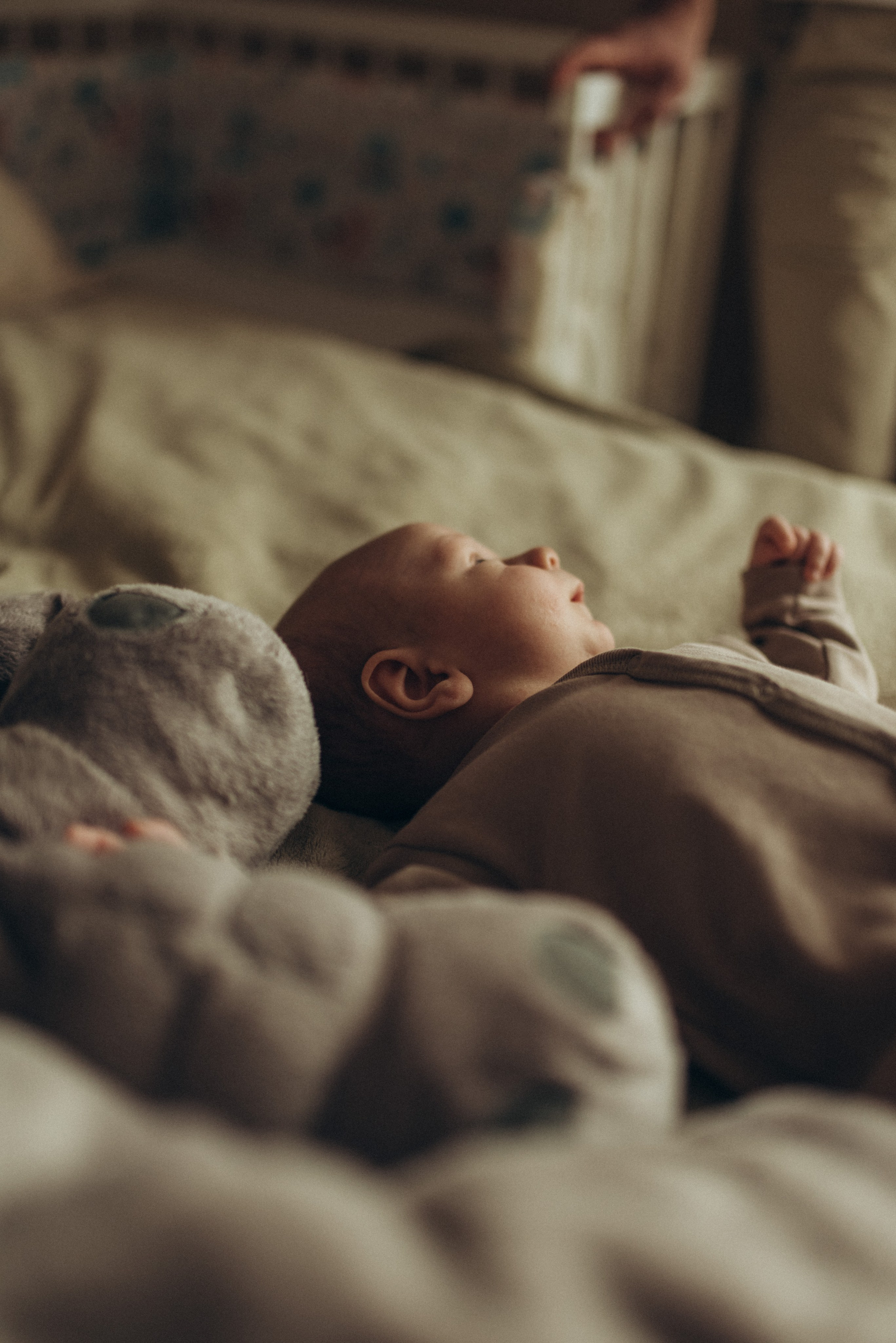 Всеволод. Семейный фотограф в Москве Екатерина Север