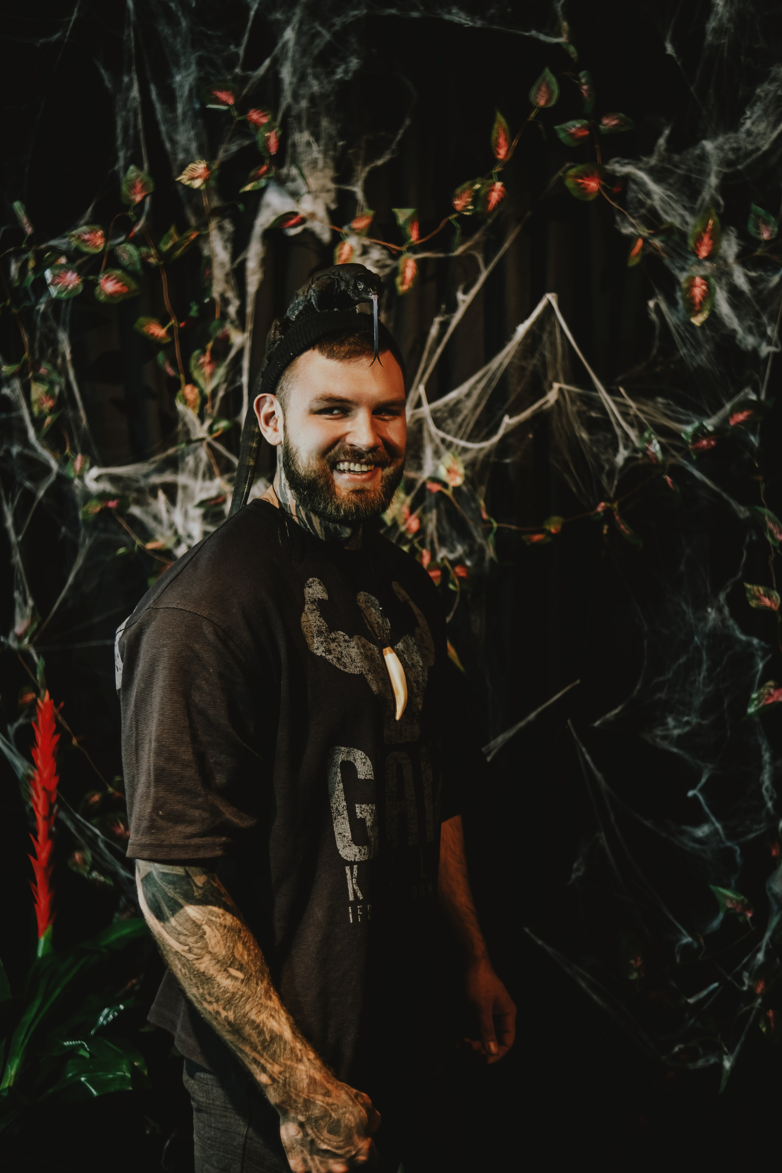 Дом Драконов. Nattie.ph