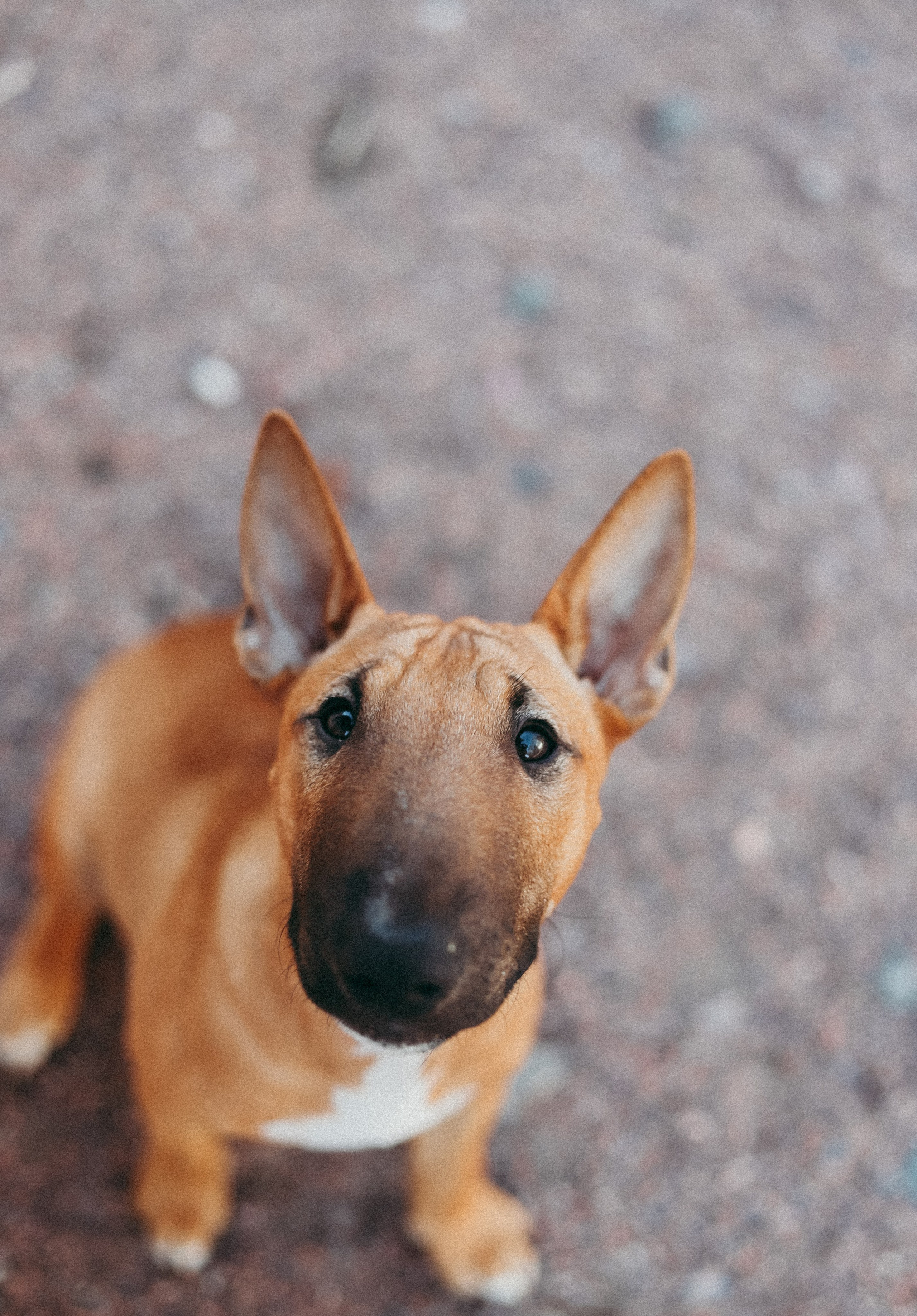 2. Фотограф Москва и Санкт-Петербург