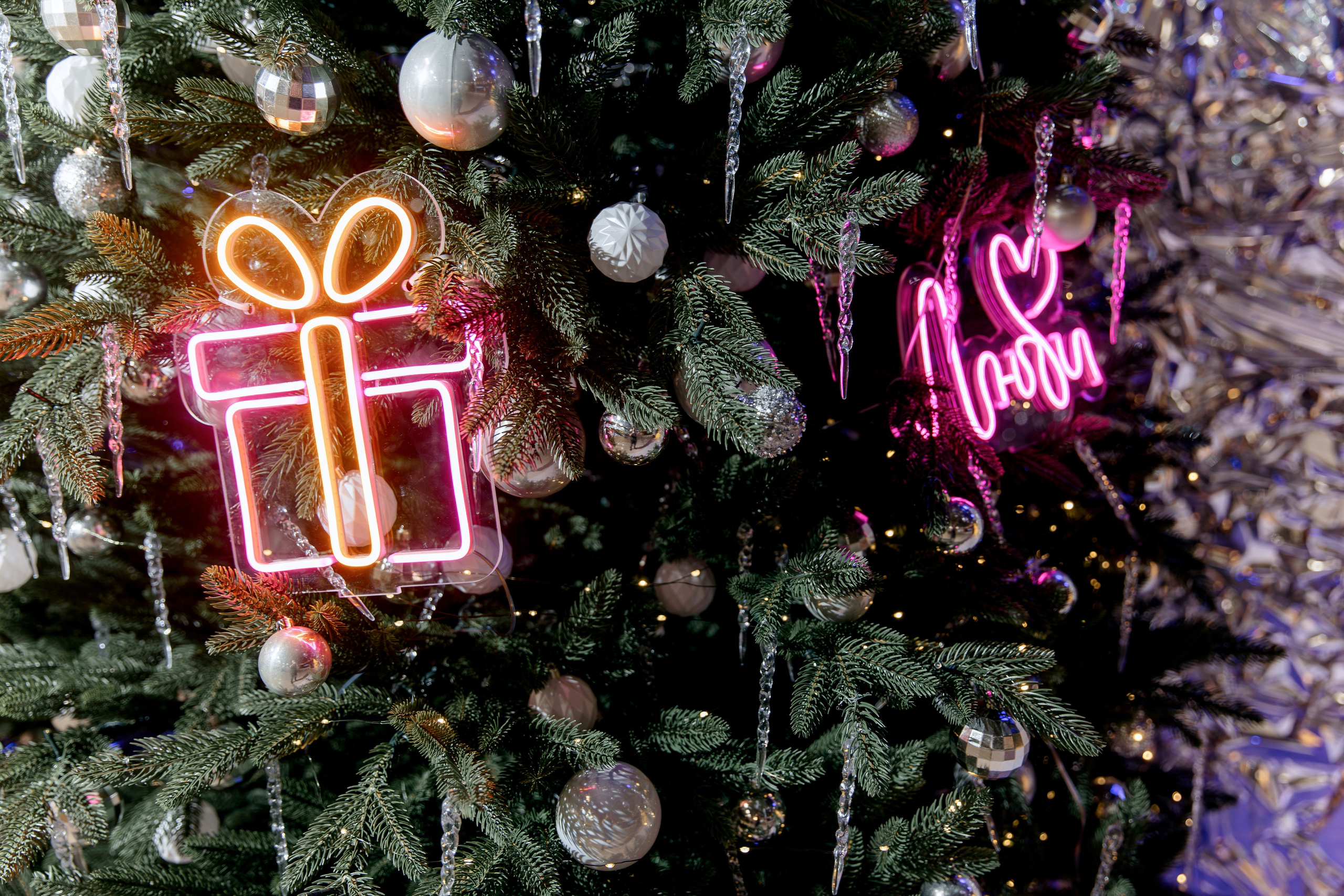GRANDE PIANO. Фотограф в Красноярске