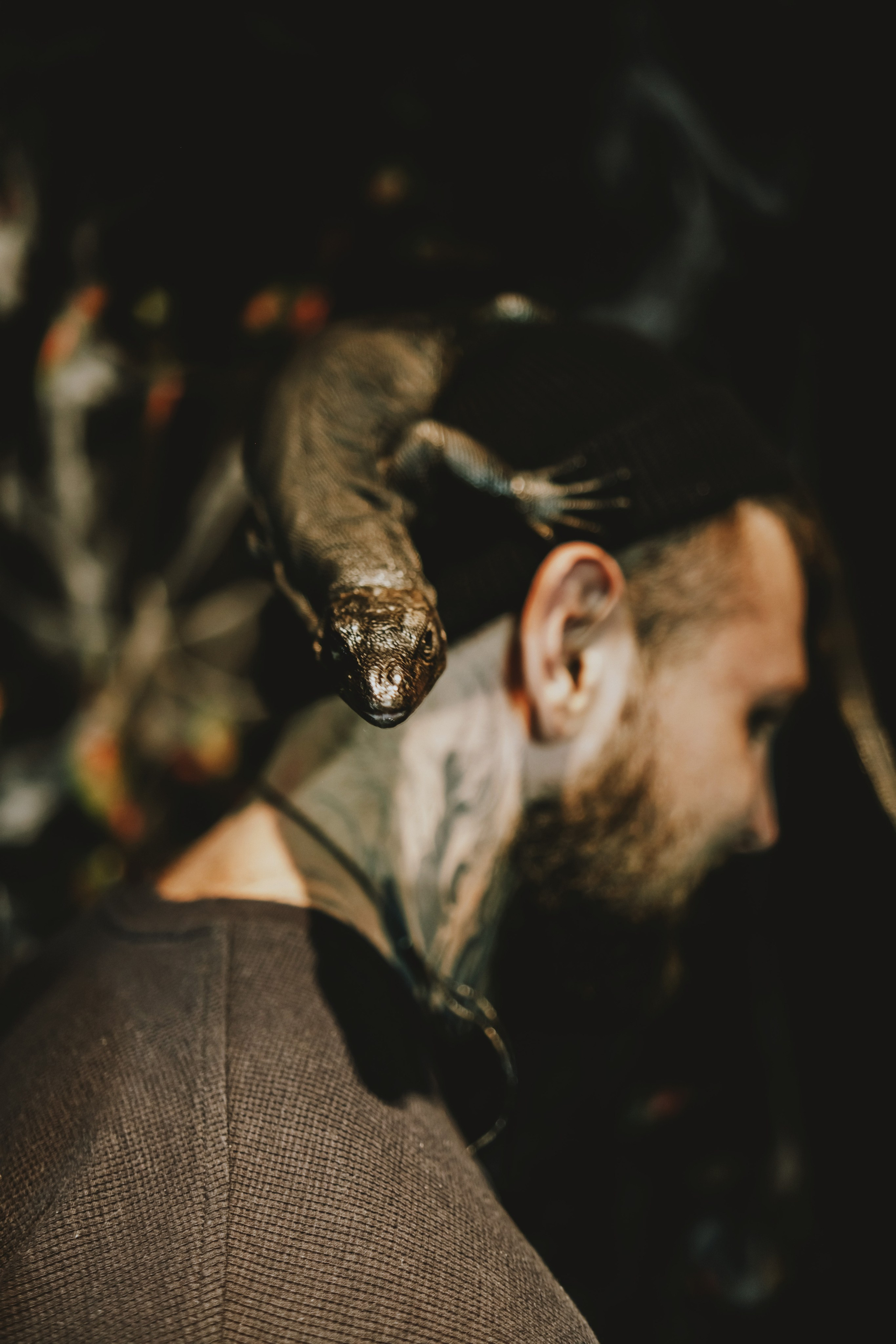 Дом Драконов. Nattie.ph