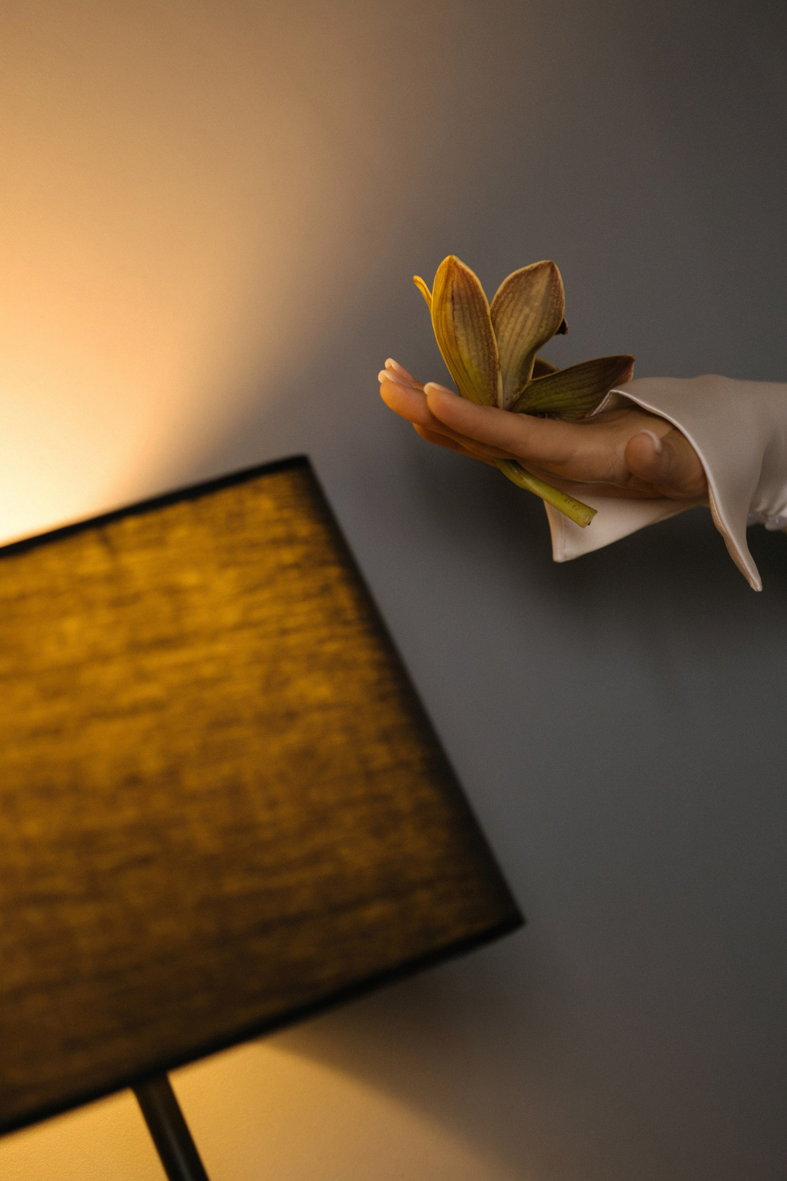 Александр и Дарья. Главная