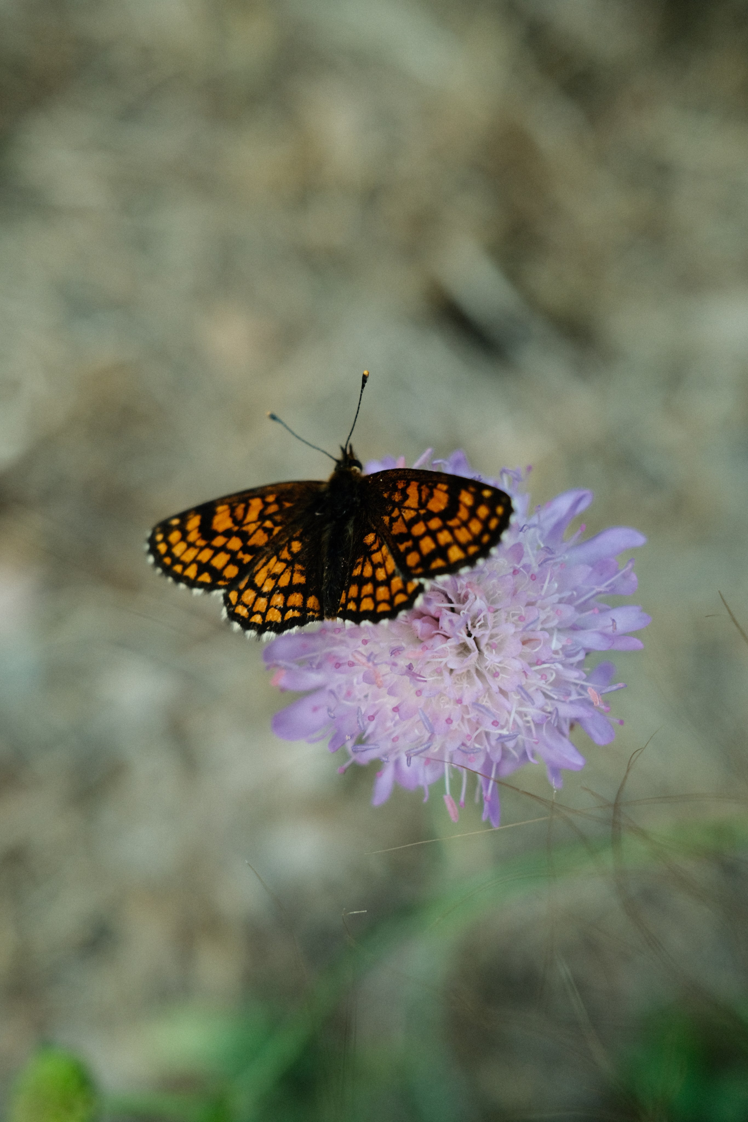 Невесомость. Портретный фотограф