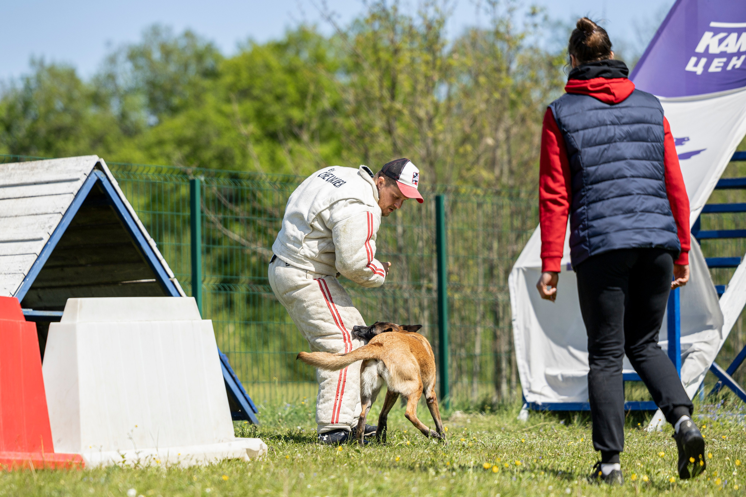 Испытания по мондьорингу в Нижнем Новгороде. Фотограф-анималист Анна Маринич