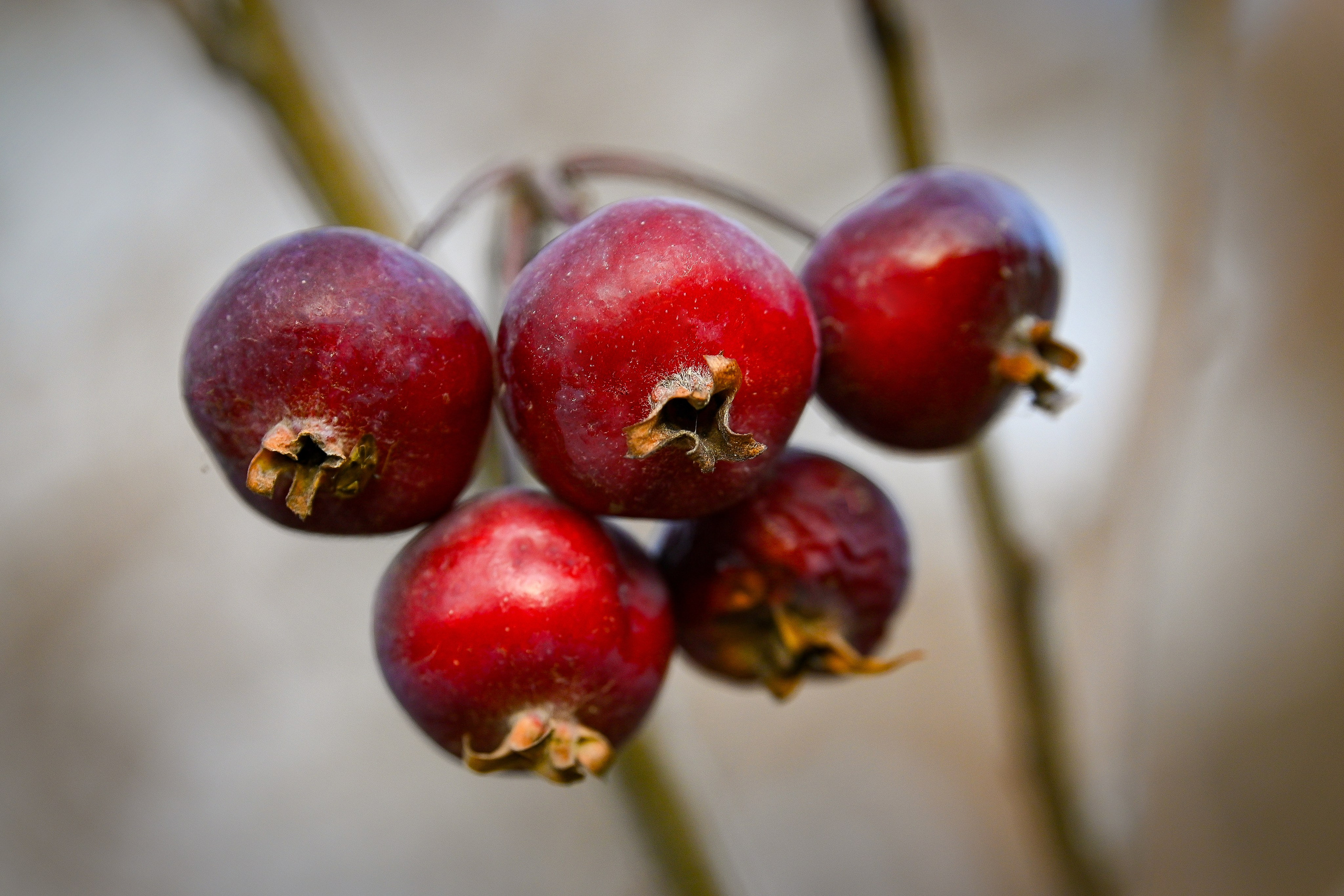 Осень. FotoGraf