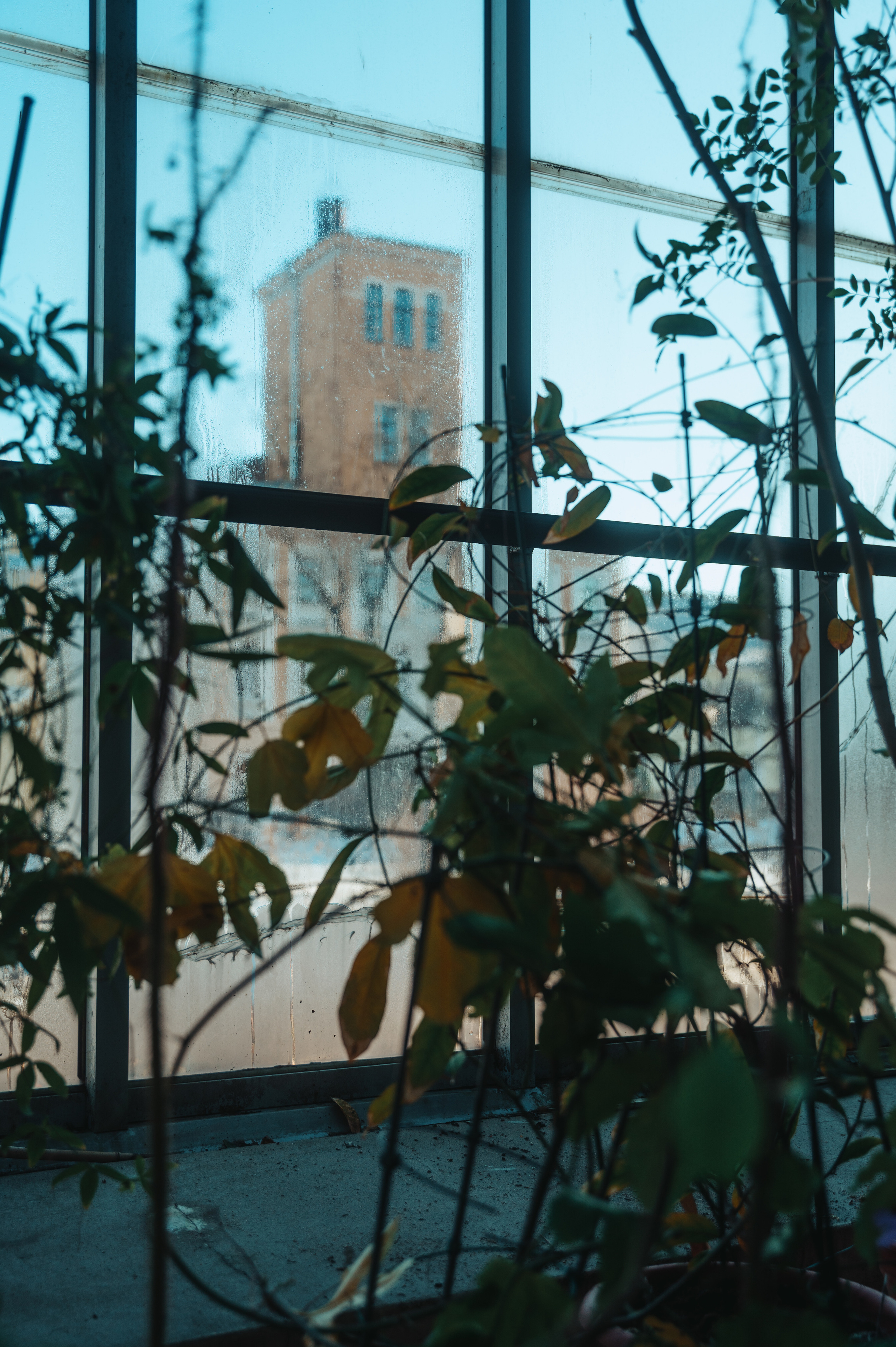 Jpg. Портретный и репортажный фотограф в Санкт-Петербурге