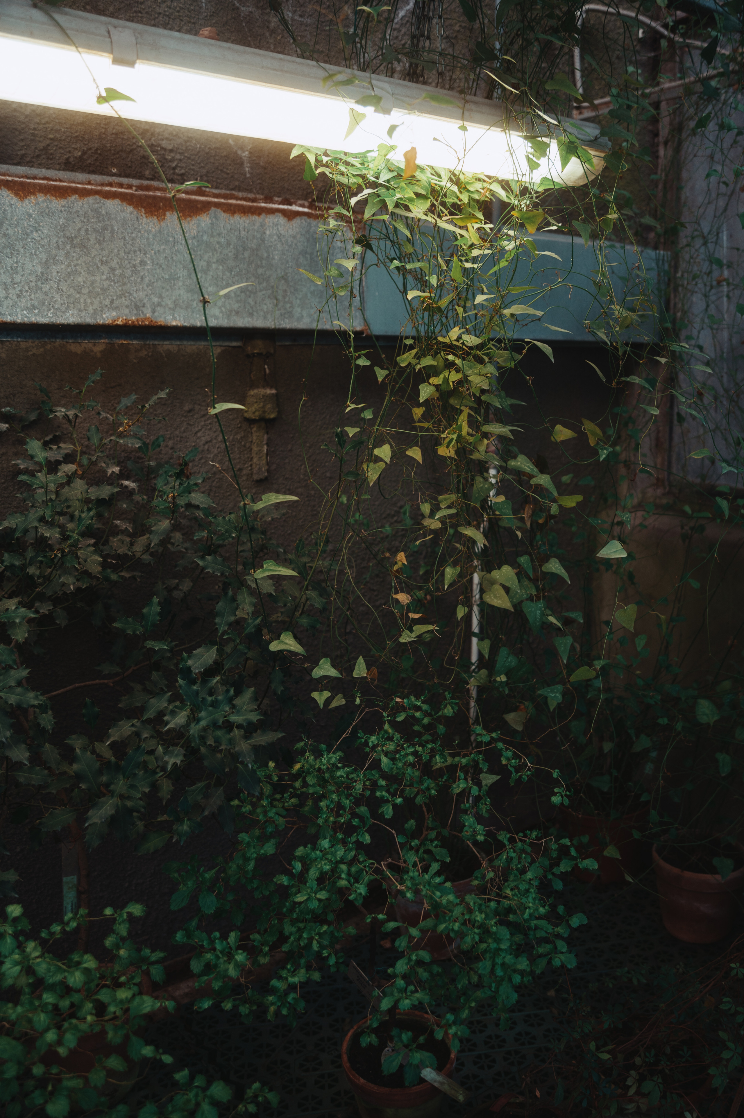 Jpg. Портретный и репортажный фотограф в Санкт-Петербурге