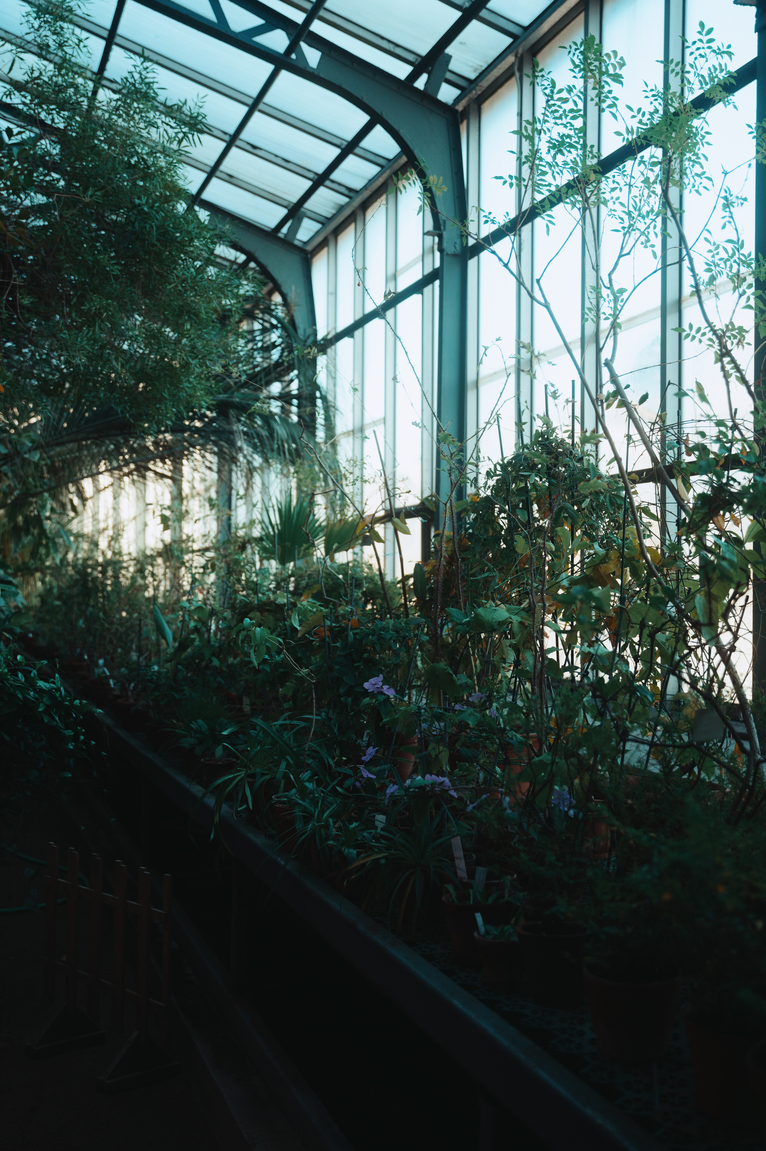 Jpg. Портретный и репортажный фотограф в Санкт-Петербурге