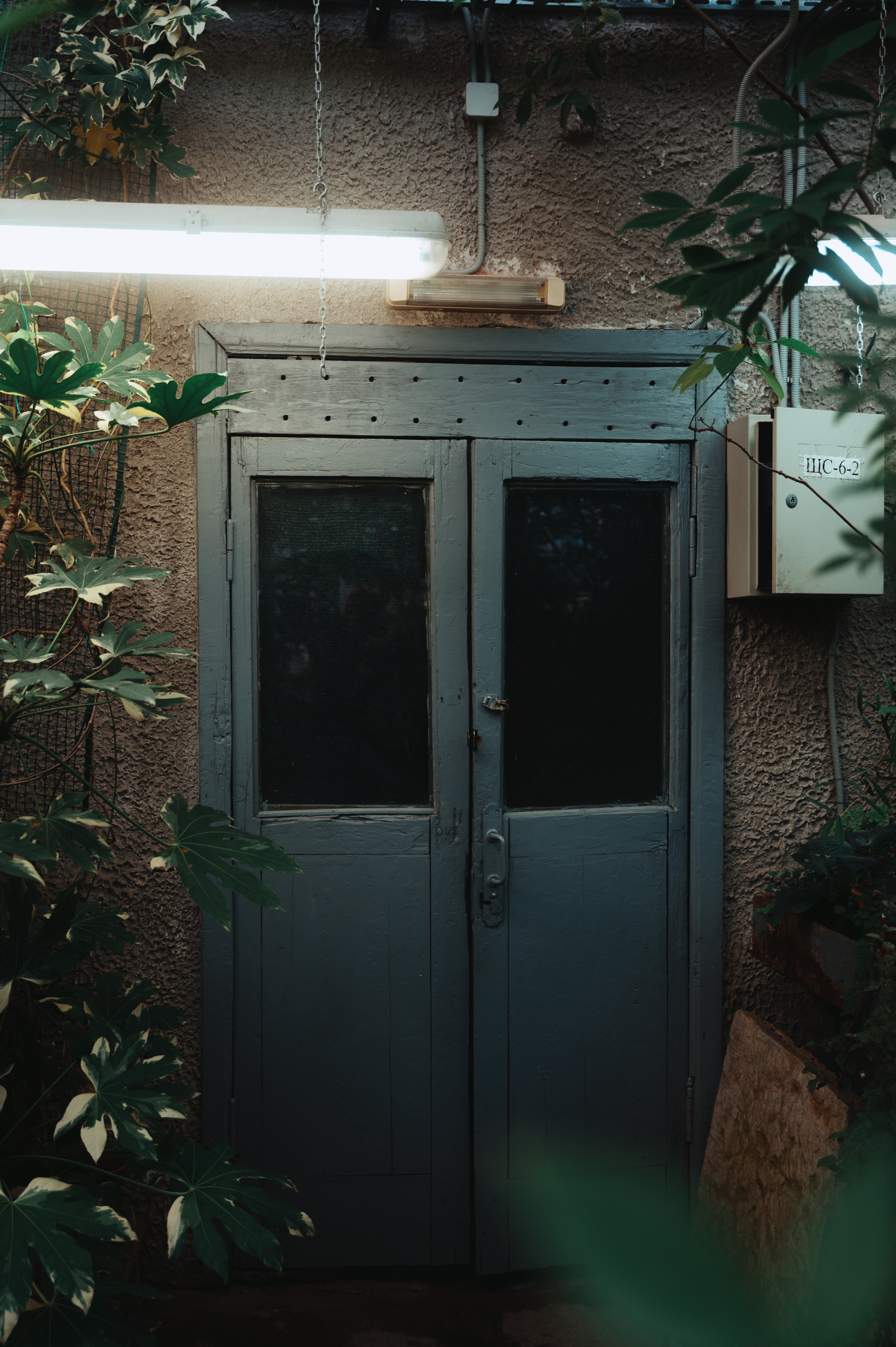 Jpg. Портретный и репортажный фотограф в Санкт-Петербурге