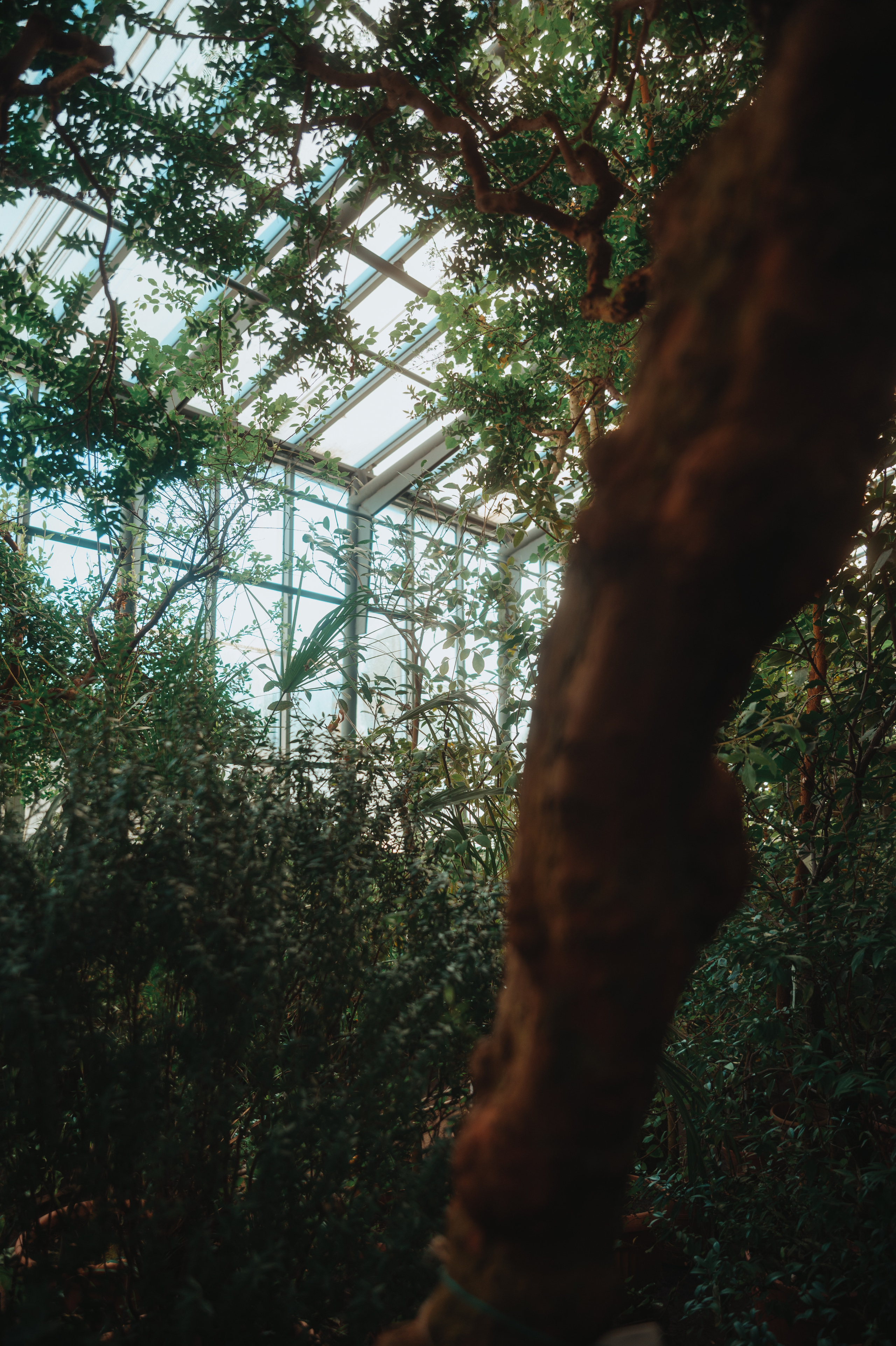 Jpg. Портретный и репортажный фотограф в Санкт-Петербурге